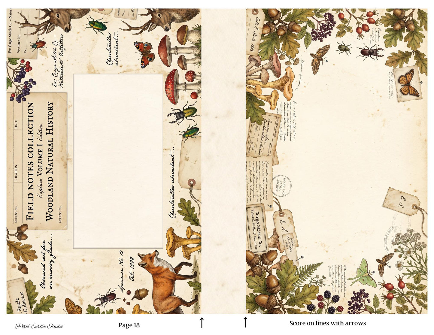 Archive Correspondence Accordion File Folder Kit | Printable File Folder Organizer | Vintage Natural History Journal Ephemera | Digital