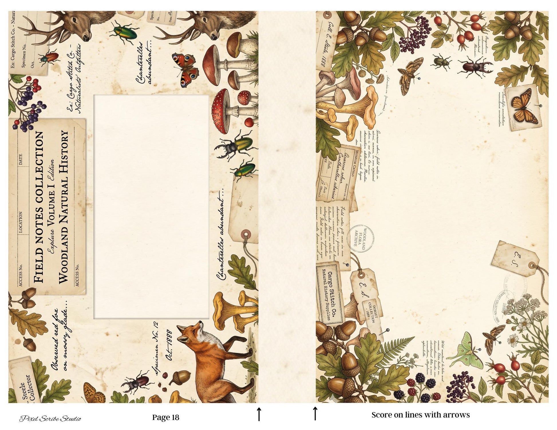 Archive Correspondence Accordion File Folder Kit | Printable File Folder Organizer | Vintage Natural History Journal Ephemera | Digital