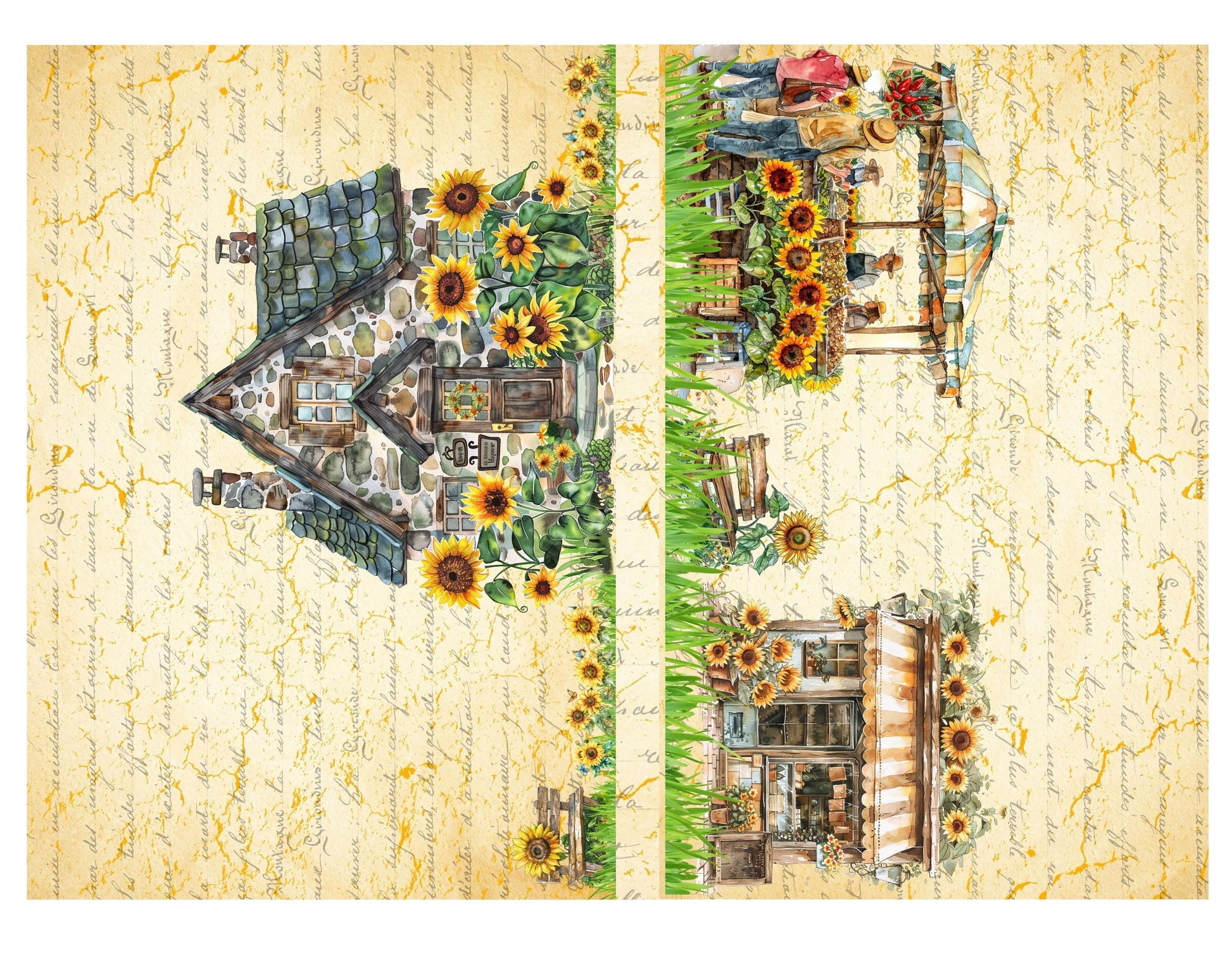 Accordion File Folder The Beauty of God & Sunflowers Collection | Printable Vintage Sunflower Storage Junk Journal Kit Bible Study Ephemera
