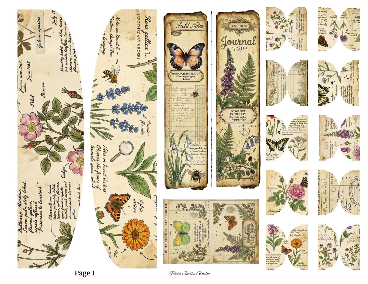 Botanical Field Notes Accordion File Folder Printable | Vintage Nature Ephemera Organizer Kit | Junk Journal Storage System