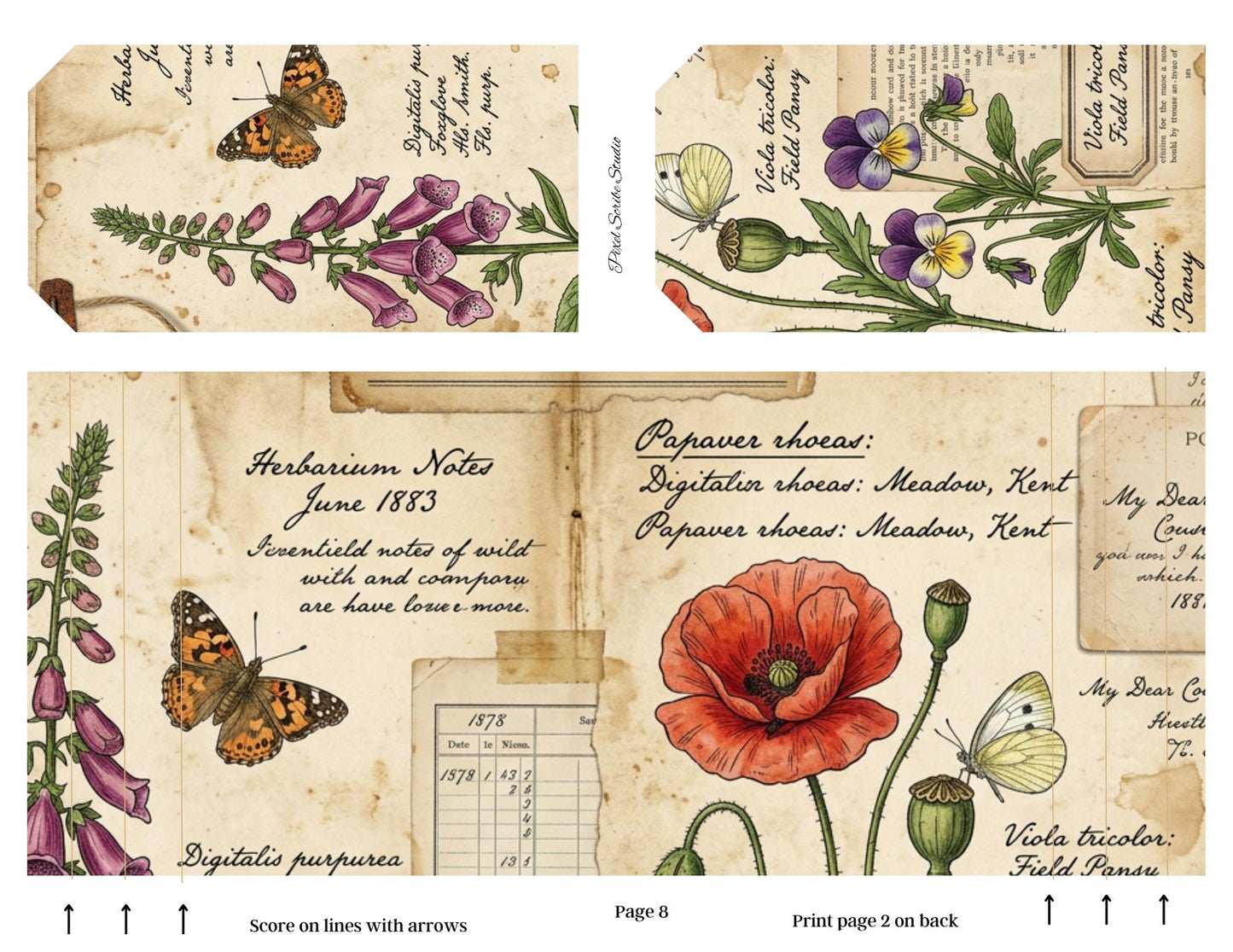 Botanical Field Notes Accordion File Folder Printable | Vintage Nature Ephemera Organizer Kit | Junk Journal Storage System