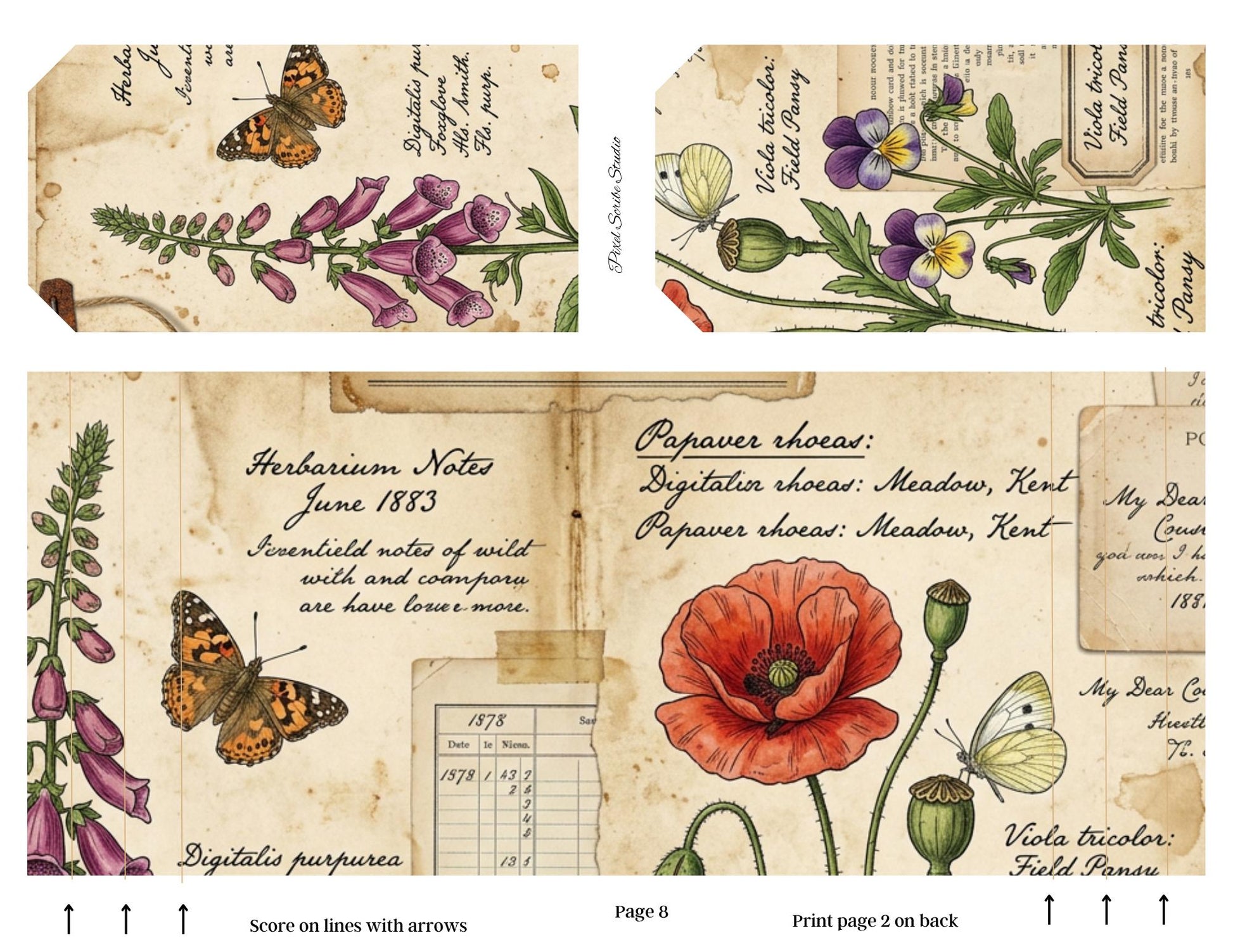 Botanical Field Notes Accordion File Folder Printable | Vintage Nature Ephemera Organizer Kit | Junk Journal Storage System