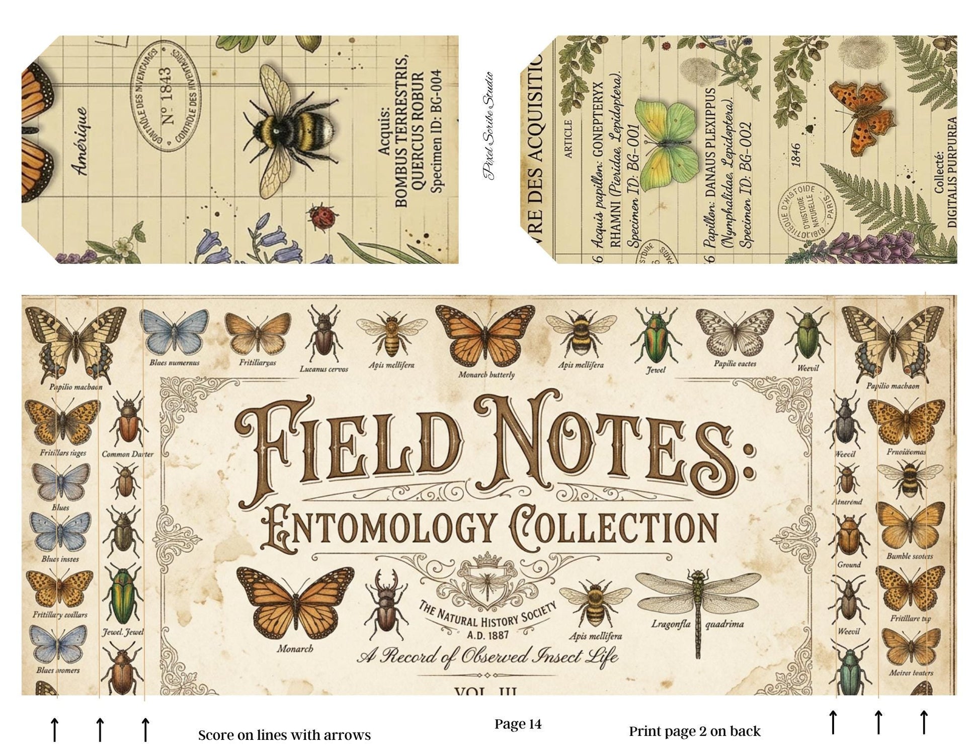 Botanical Field Notes Accordion File Folder Printable | Vintage Nature Ephemera Organizer Kit | Junk Journal Storage System