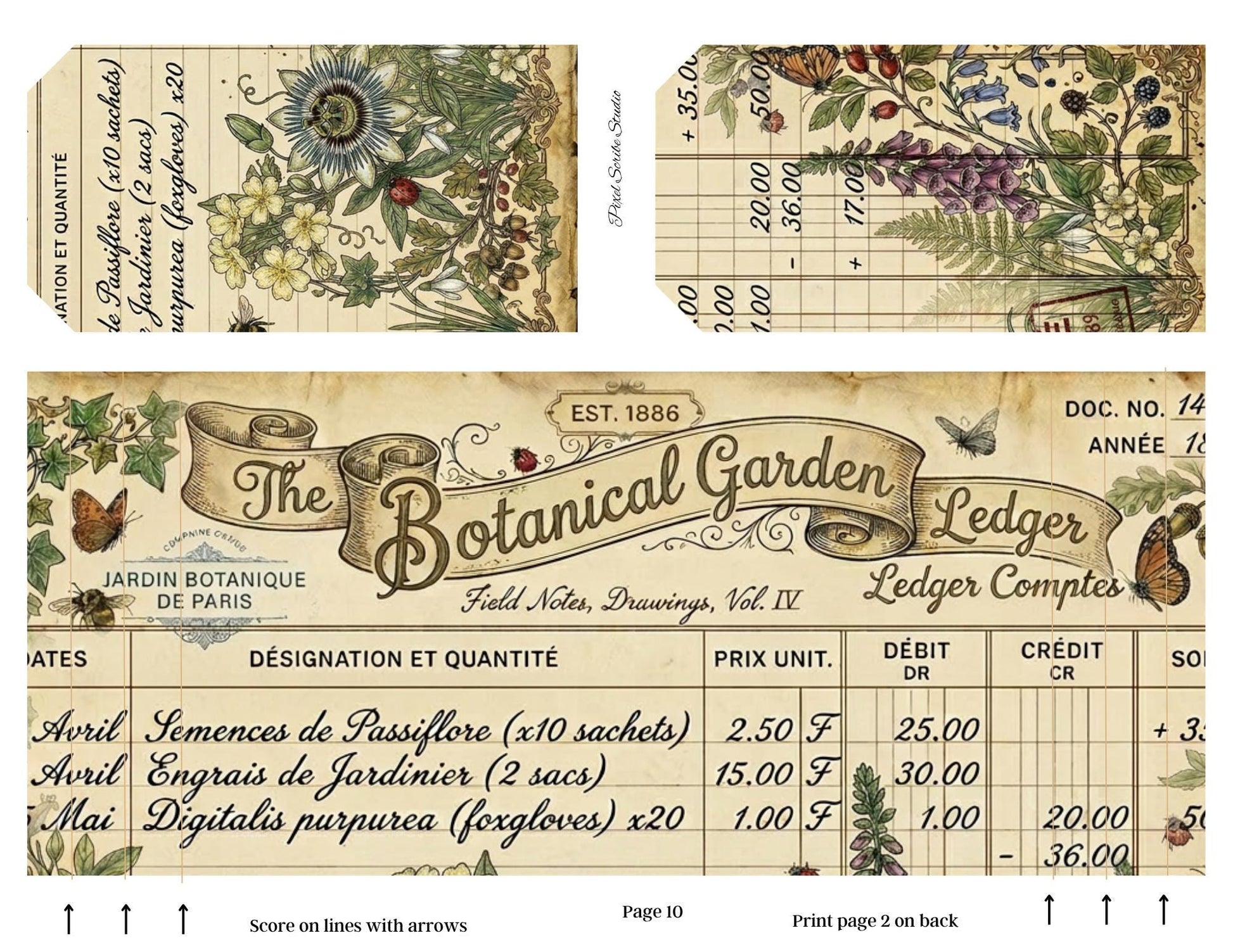 Botanical Field Notes Accordion File Folder Printable | Vintage Nature Ephemera Organizer Kit | Junk Journal Storage System