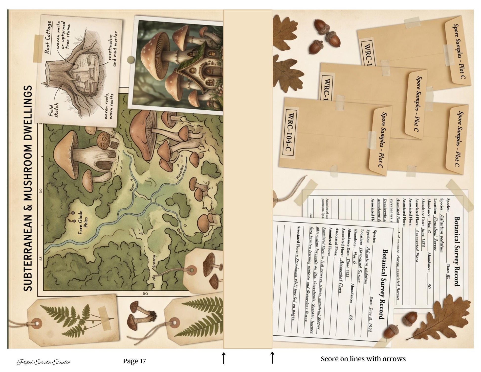 Accordion File Folder Kit Woodland Registry | Woodland Maps & Surveys | Printable Accordion Folder, Junk Journal Printable, Archive Ephemer