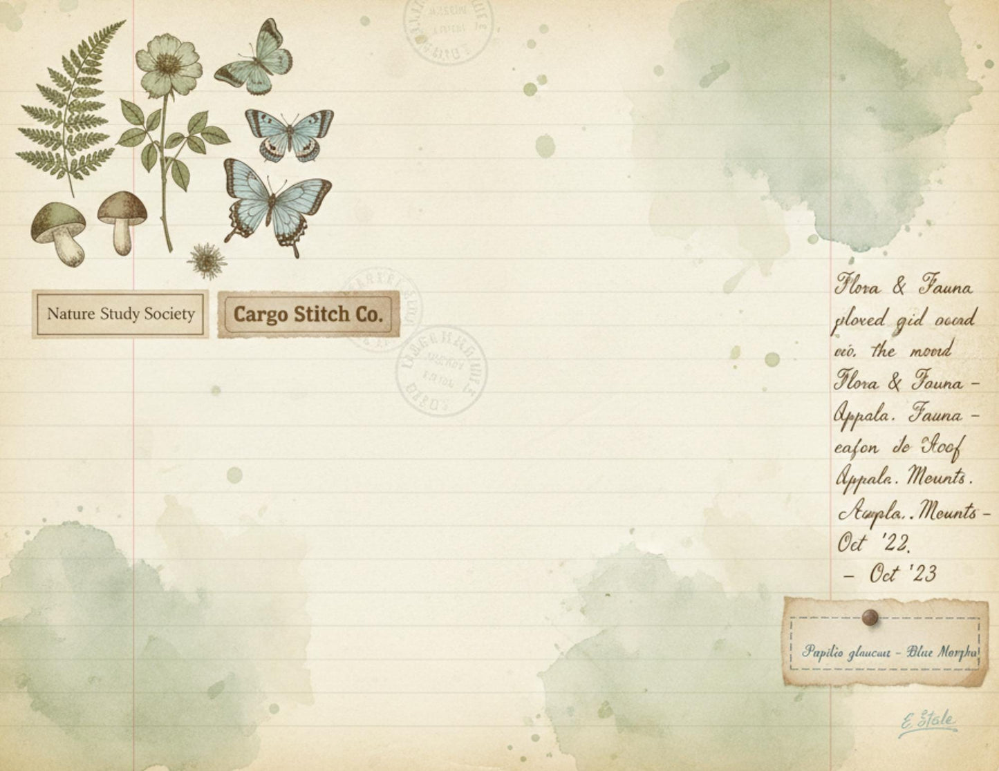 Nature Study Society Journal Kit | 13 Printable Nature Journal Pages | Birds, Butterflies, Ferns & Mushroom Field Notes