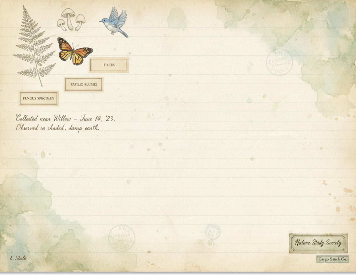Nature Study Society Journal Kit | 13 Printable Nature Journal Pages | Birds, Butterflies, Ferns & Mushroom Field Notes