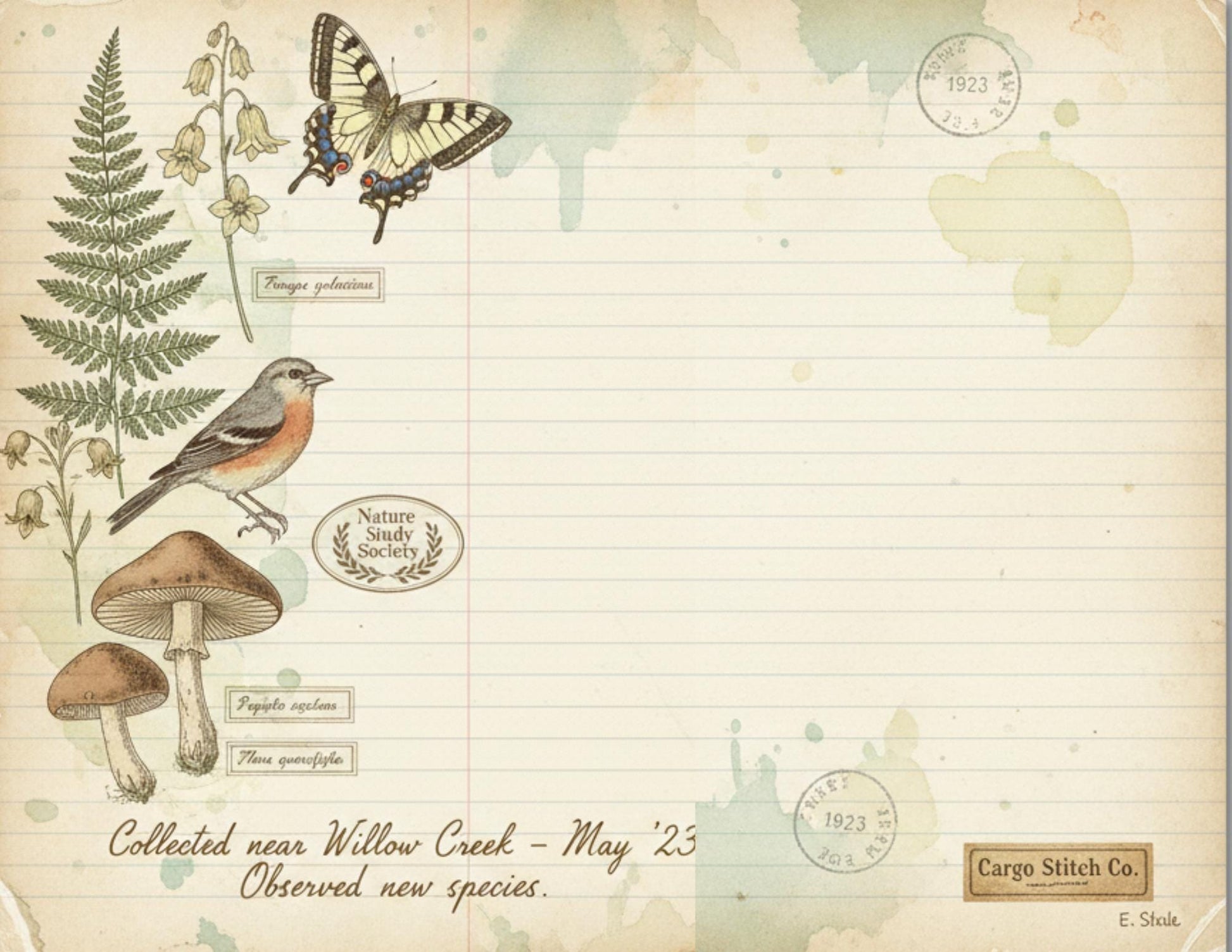 Nature Study Society Journal Kit | 13 Printable Nature Journal Pages | Birds, Butterflies, Ferns & Mushroom Field Notes