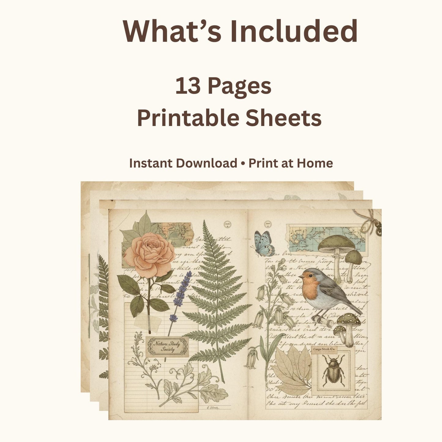 Nature Study Society Journal Kit | 13 Printable Nature Journal Pages | Birds, Butterflies, Ferns & Mushroom Field Notes