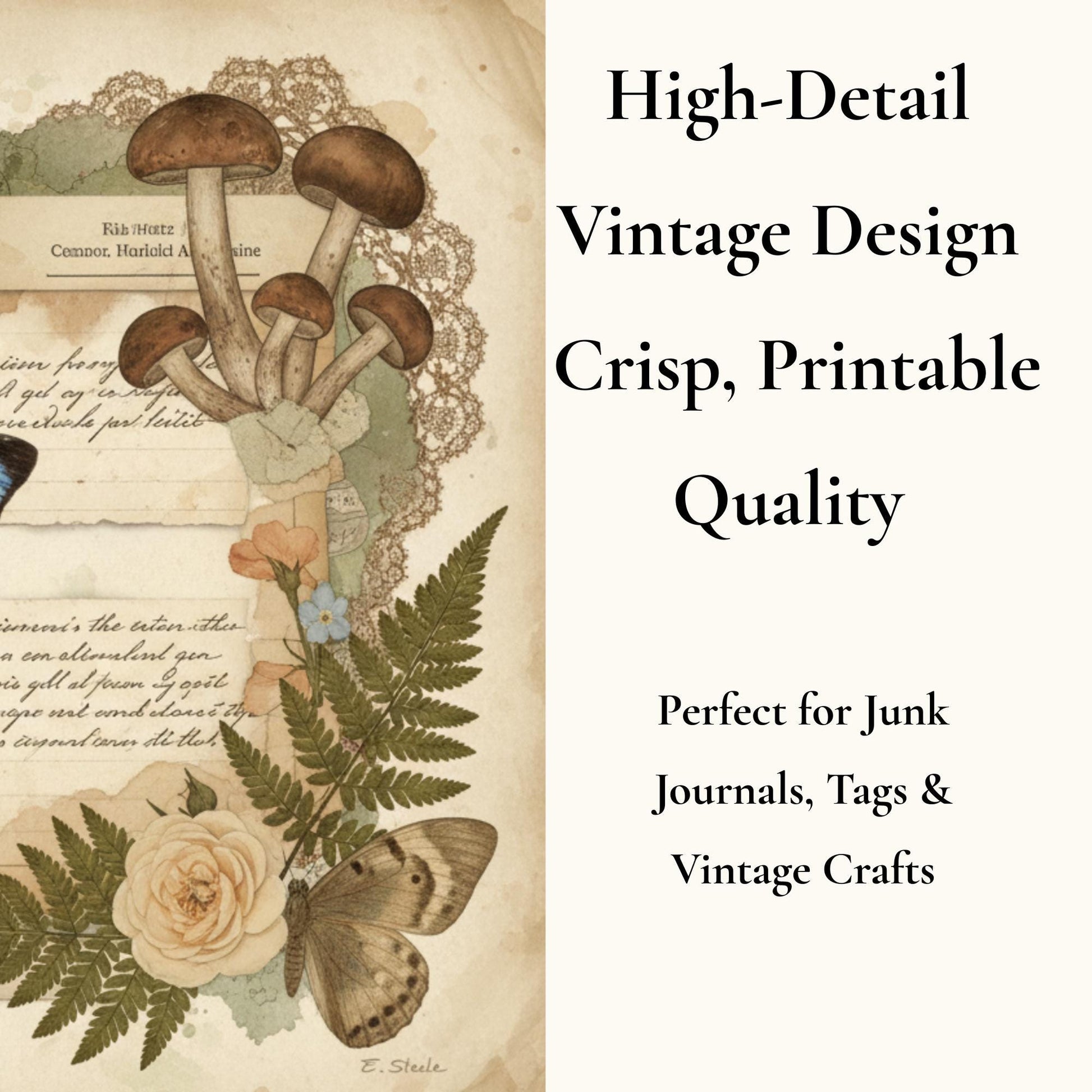 Nature Study Society Journal Kit | 13 Printable Nature Journal Pages | Birds, Butterflies, Ferns & Mushroom Field Notes
