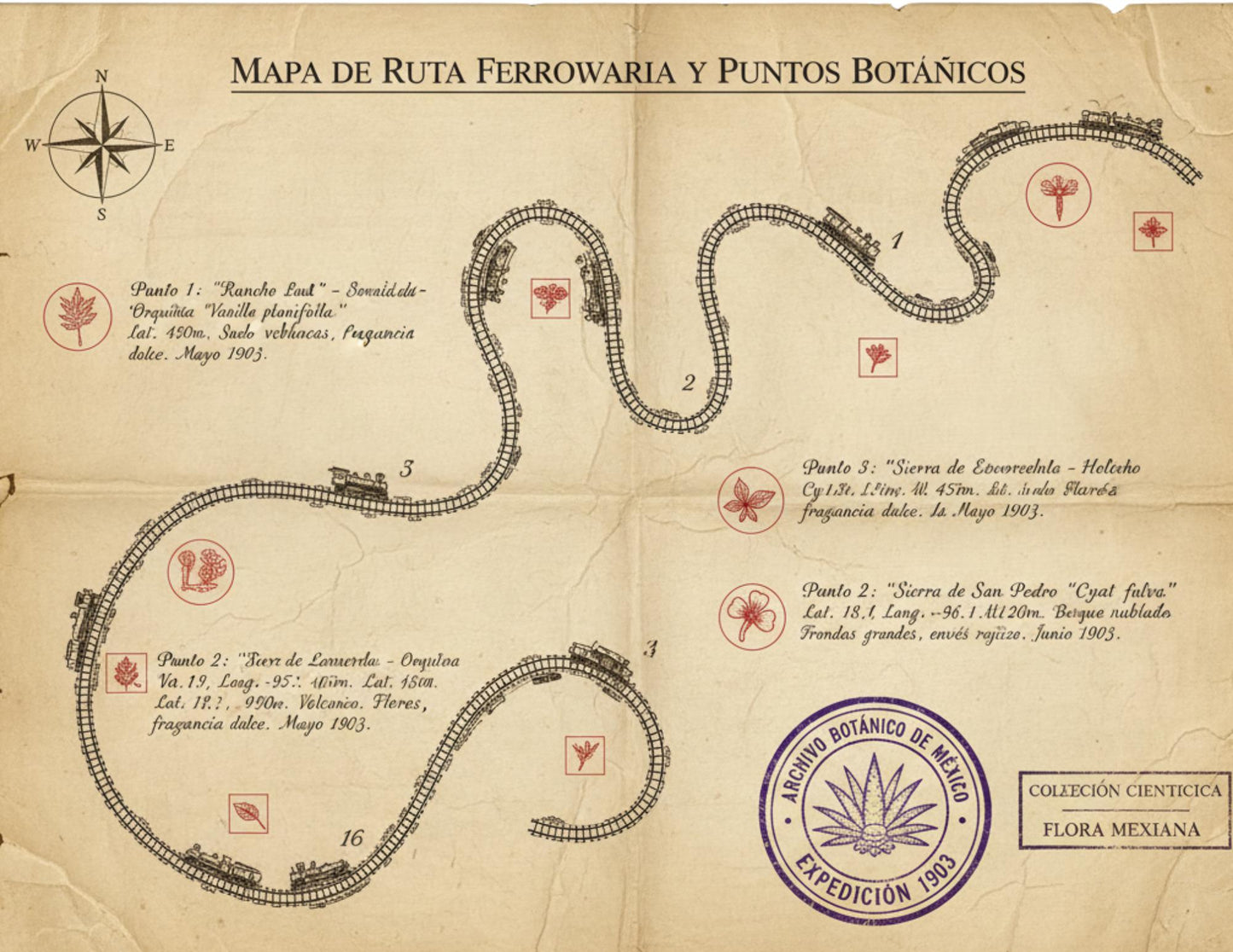 Mexico Railway Survey Maps | Ferrocarriles Nacionales de México | Vintage Railway Archive | Printable Journal Pages | Digital Download