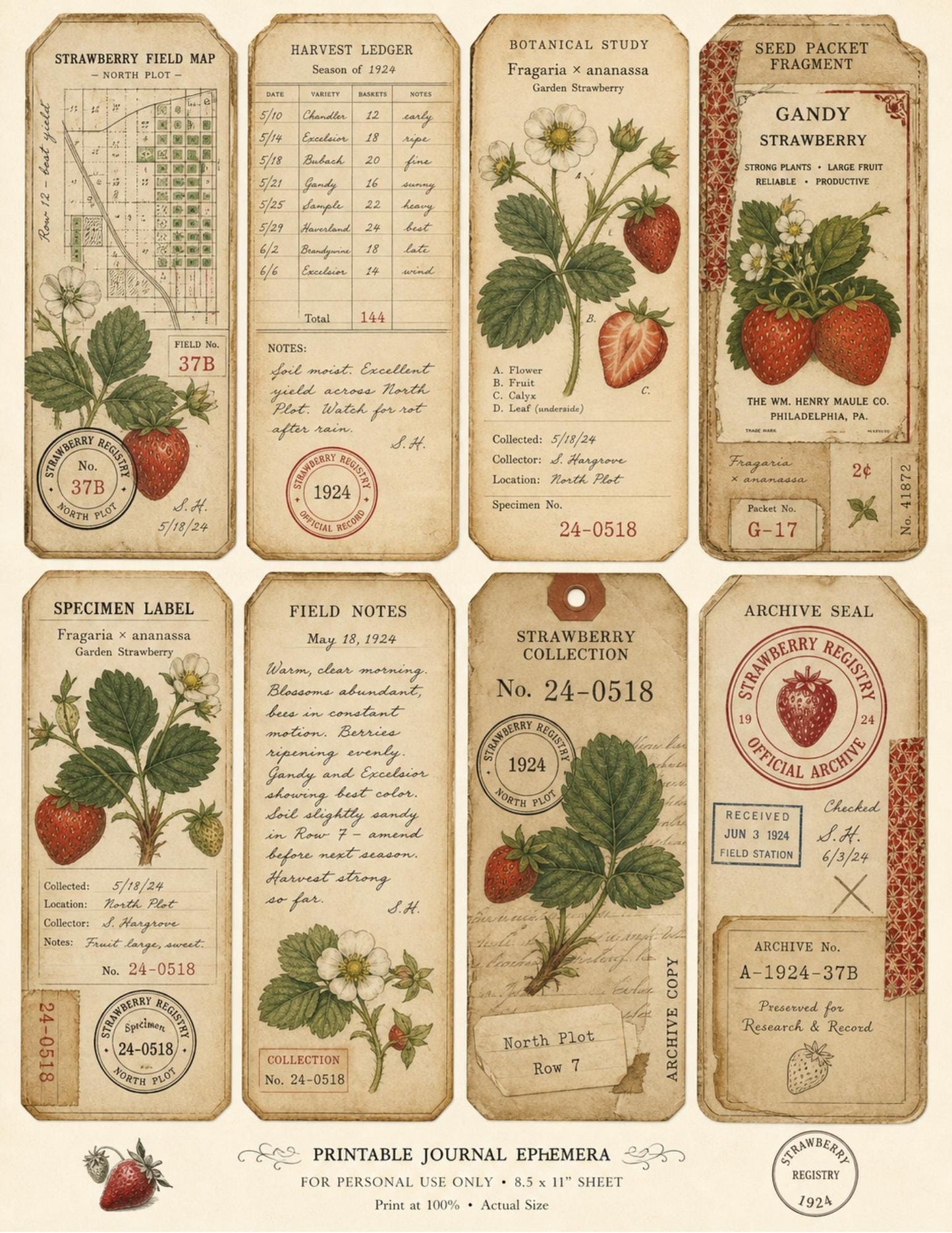 Strawberry Correspondence Archive Ephemera Collection 10 Printable Pages Vintage Strawberry Journal Cards, Labels, Tags, Junk Journal Kit