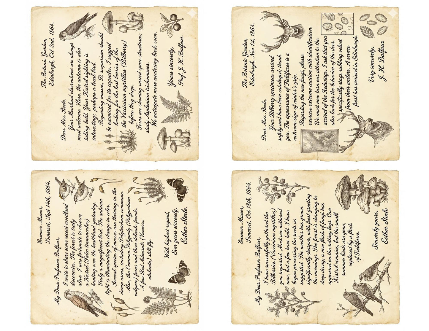Naturalist Correspondence Archive Volume I | Woodland Field Notes Printable Kit, Nature Journal Ephemera, Observation Records, Journal Pages
