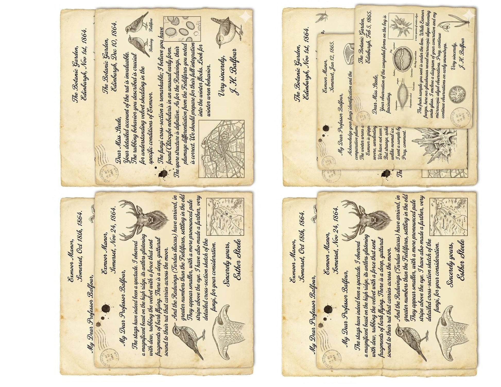 Naturalist Correspondence Archive Volume I | Woodland Field Notes Printable Kit, Nature Journal Ephemera, Observation Records, Journal Pages