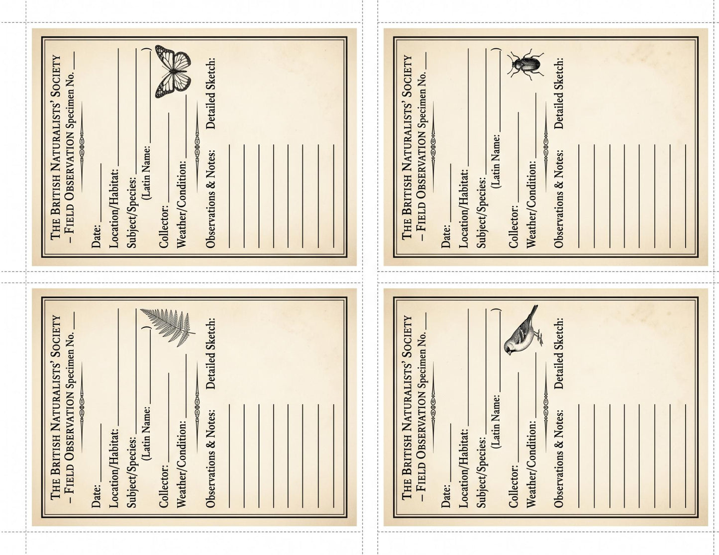 Naturalist Correspondence Archive Volume I | Woodland Field Notes Printable Kit, Nature Journal Ephemera, Observation Records, Journal Pages