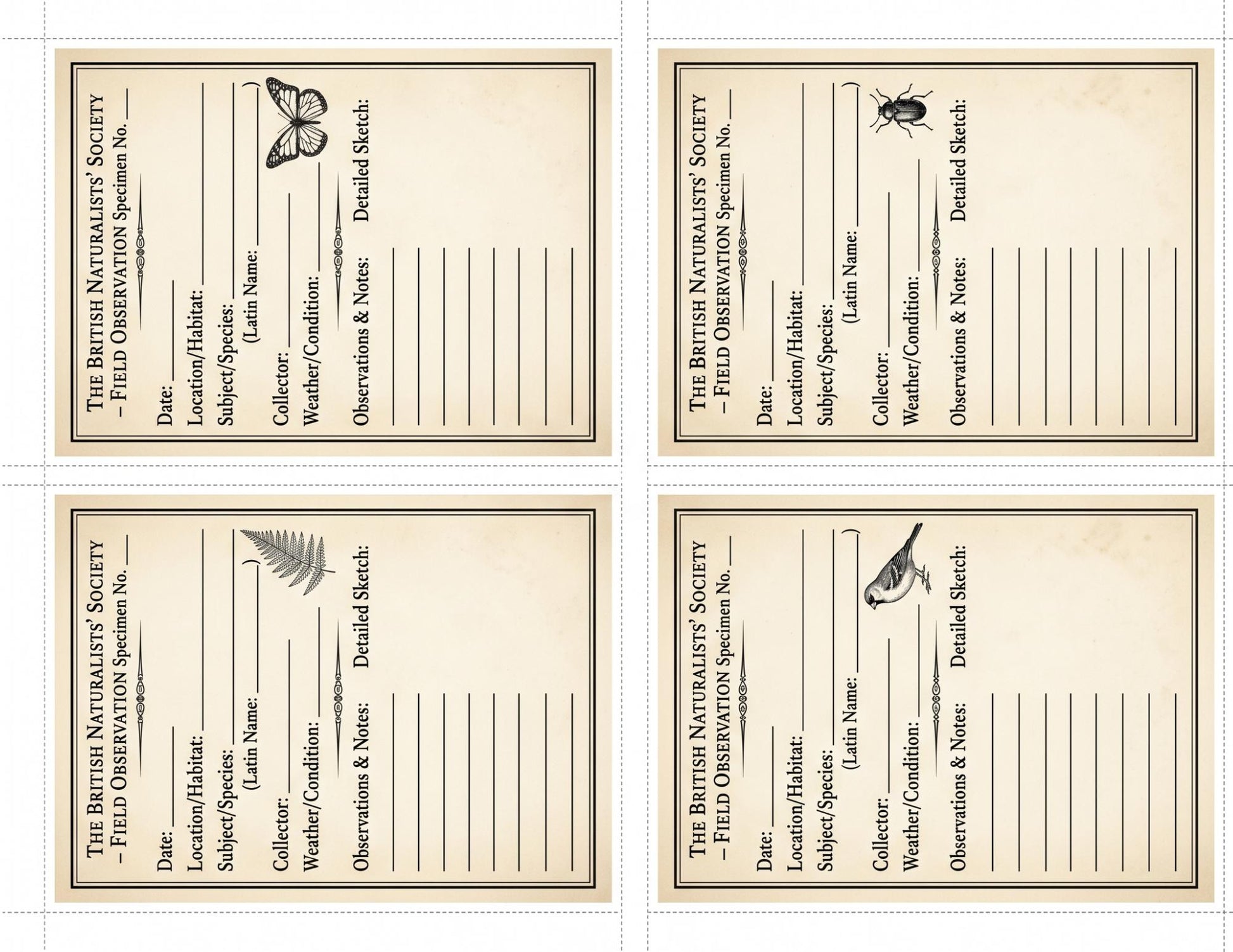 Naturalist Correspondence Archive Volume I | Woodland Field Notes Printable Kit, Nature Journal Ephemera, Observation Records, Journal Pages