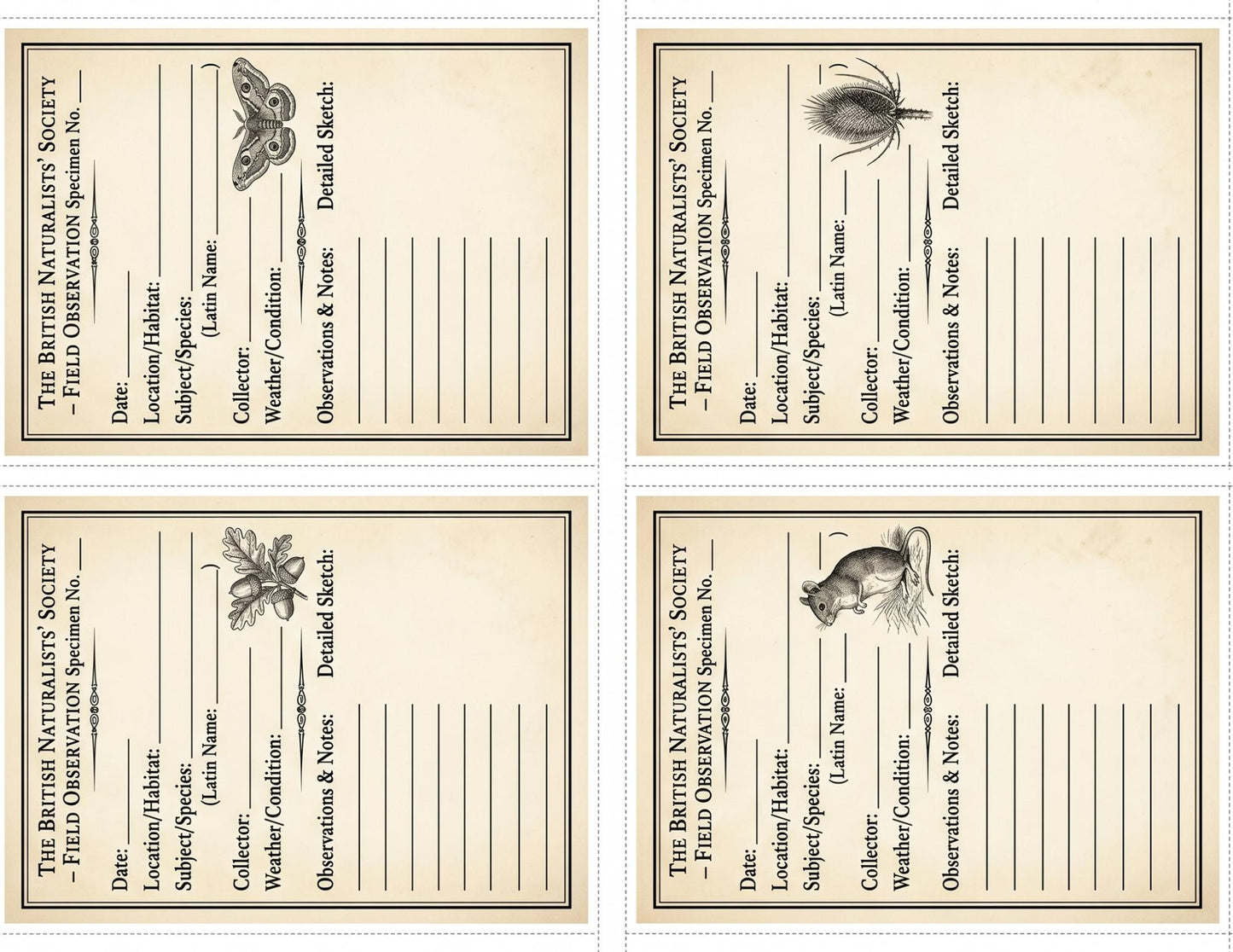 Naturalist Correspondence Archive Volume I | Woodland Field Notes Printable Kit, Nature Journal Ephemera, Observation Records, Journal Pages