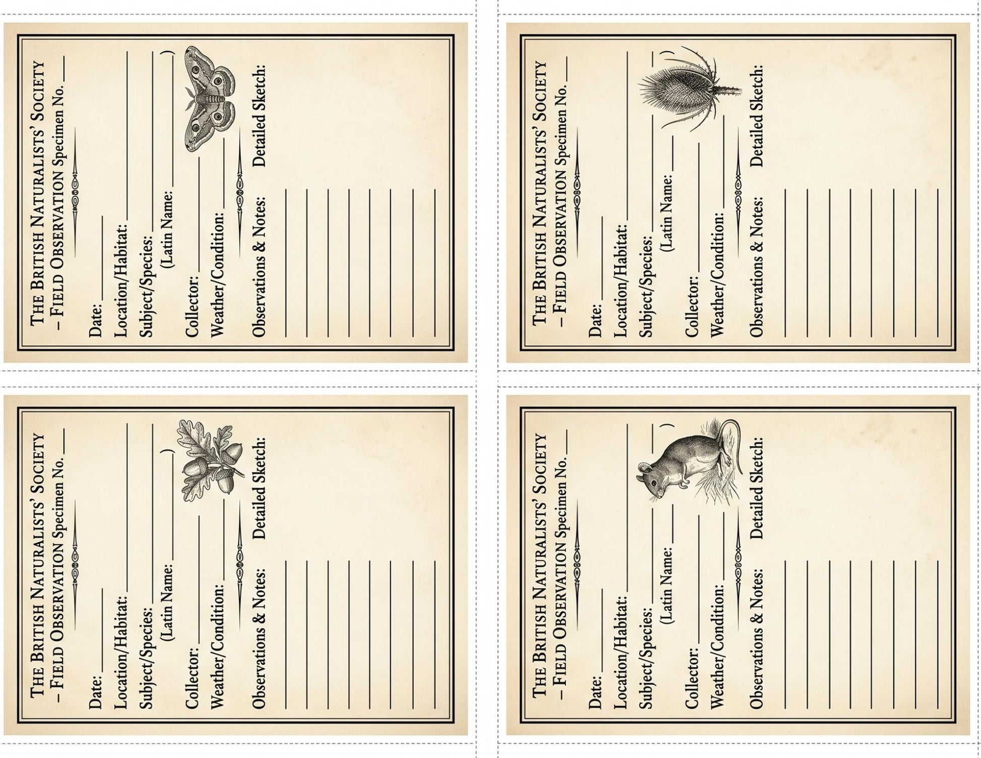 Naturalist Correspondence Archive Volume I | Woodland Field Notes Printable Kit, Nature Journal Ephemera, Observation Records, Journal Pages