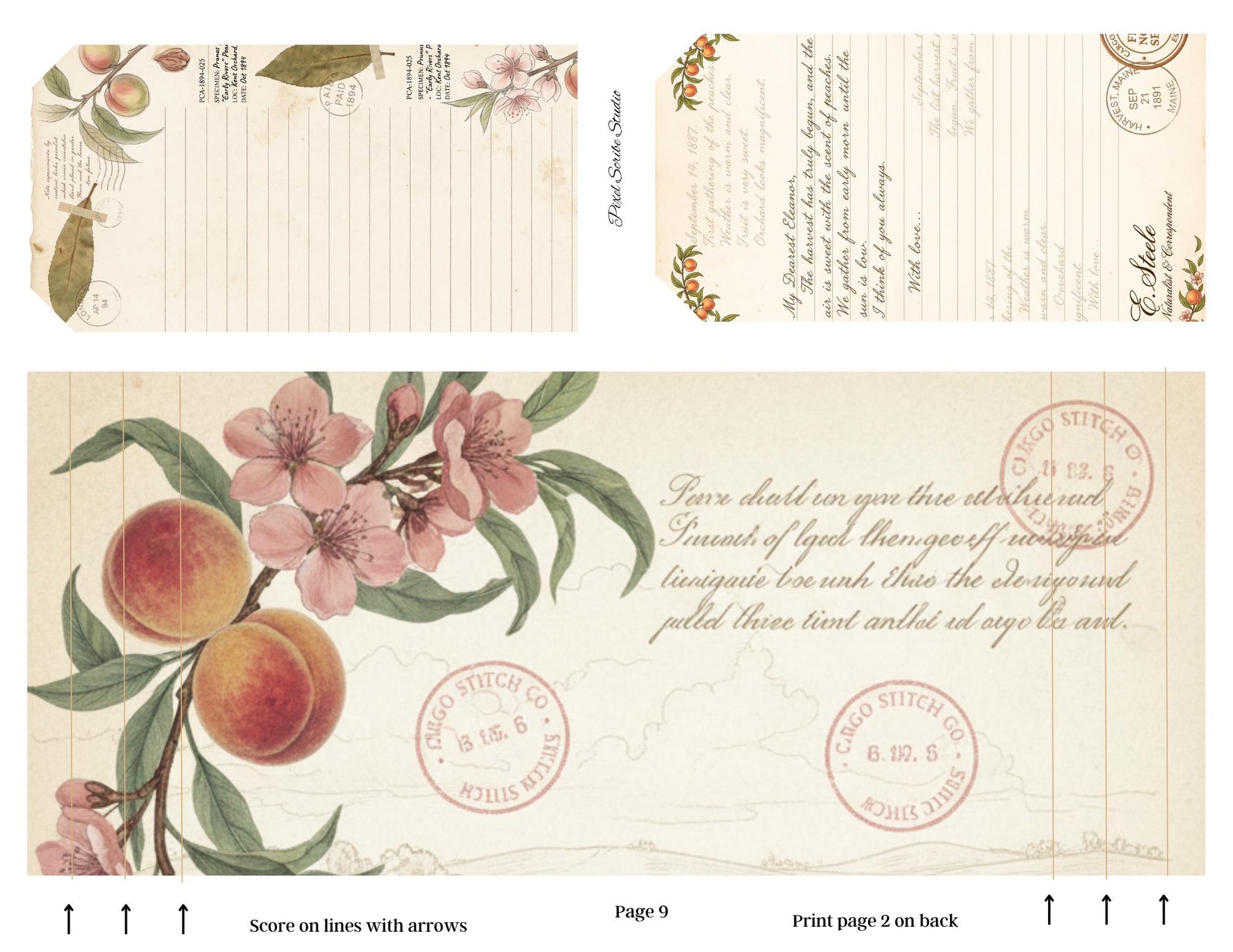 Victorian Peach Correspondence Archive Accordion File Folder Kit | Printable Junk Journal Organizer | Ephemera Storage PDF