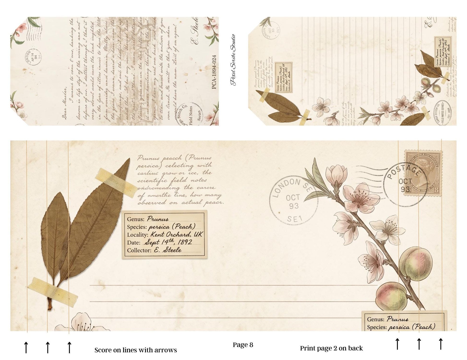 Victorian Peach Correspondence Archive Accordion File Folder Kit | Printable Junk Journal Organizer | Ephemera Storage PDF