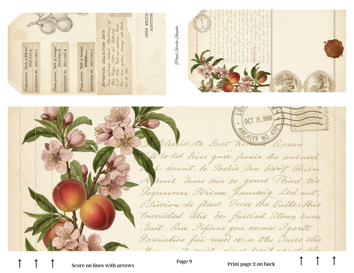 Victorian Peach Correspondence Archive Accordion File Folder Kit | Printable Junk Journal Organizer | Ephemera Storage PDF