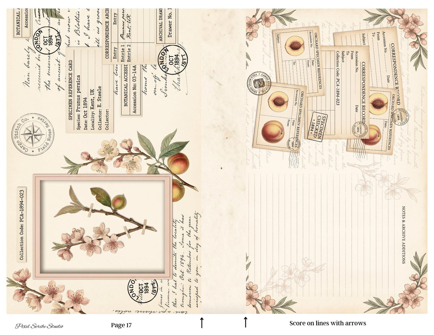 Victorian Peach Correspondence Archive Accordion File Folder Kit | Printable Junk Journal Organizer | Ephemera Storage PDF