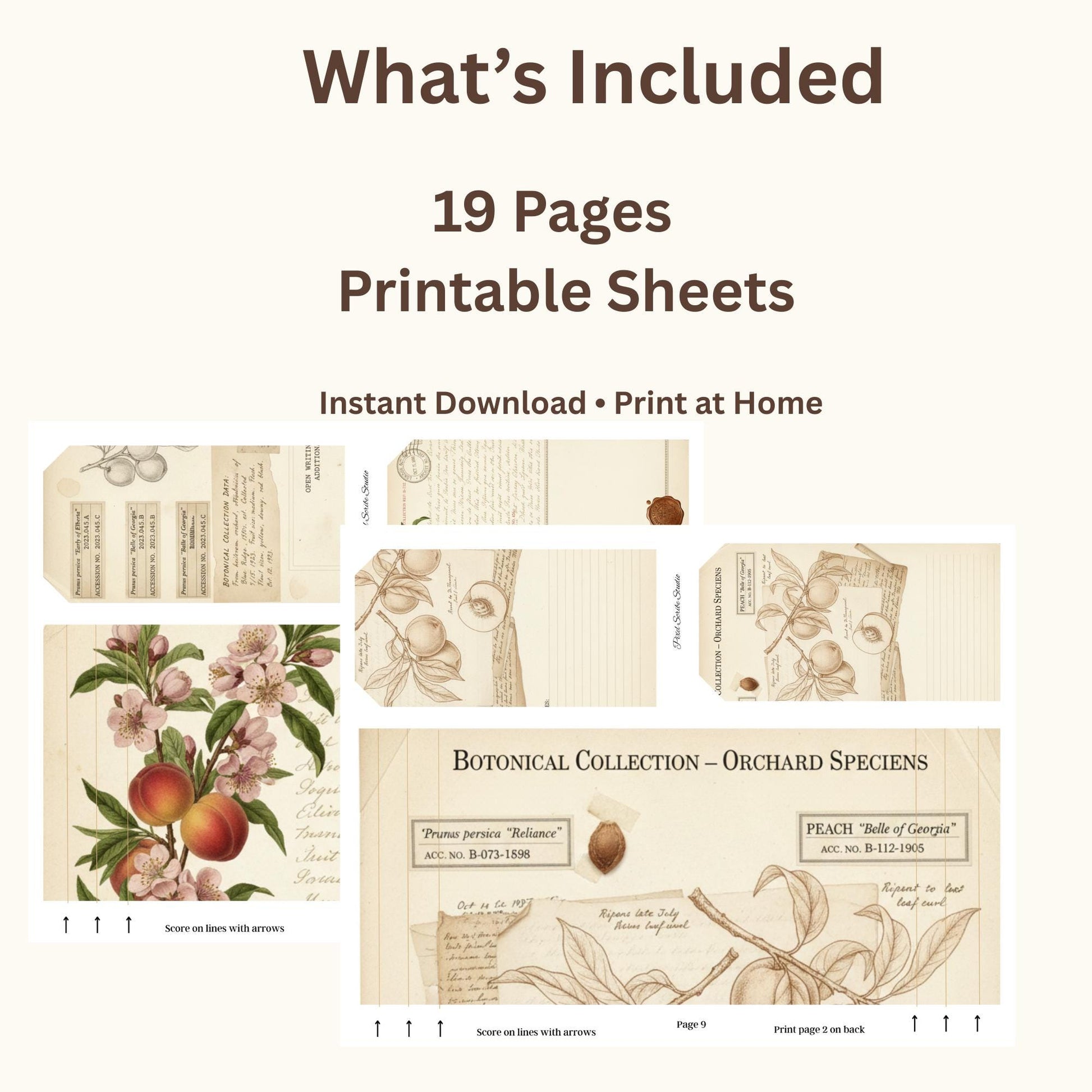 Victorian Peach Correspondence Archive Accordion File Folder Kit | Printable Junk Journal Organizer | Ephemera Storage PDF