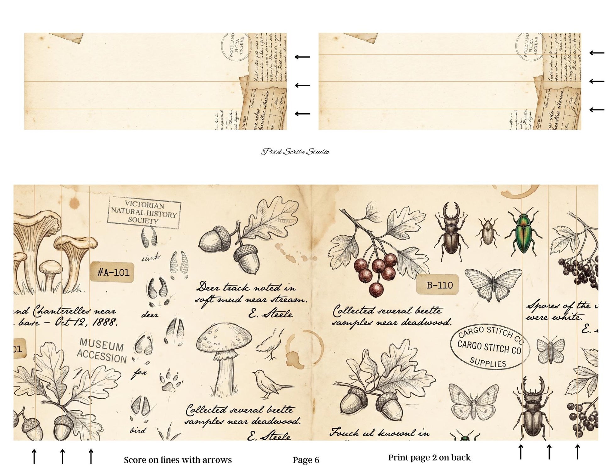 Archive Correspondence Accordion File Folder Kit | Printable File Folder Organizer | Vintage Natural History Journal Ephemera | Digital
