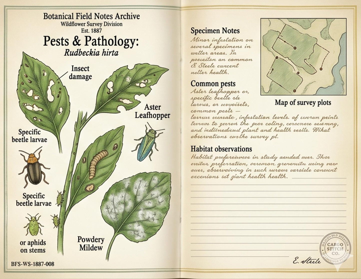 Moon Garden Botanical Society Field Notes & Specimens | Botanical Journal Pages | Vintage Nature Archive | Printable Junk Journal Kit