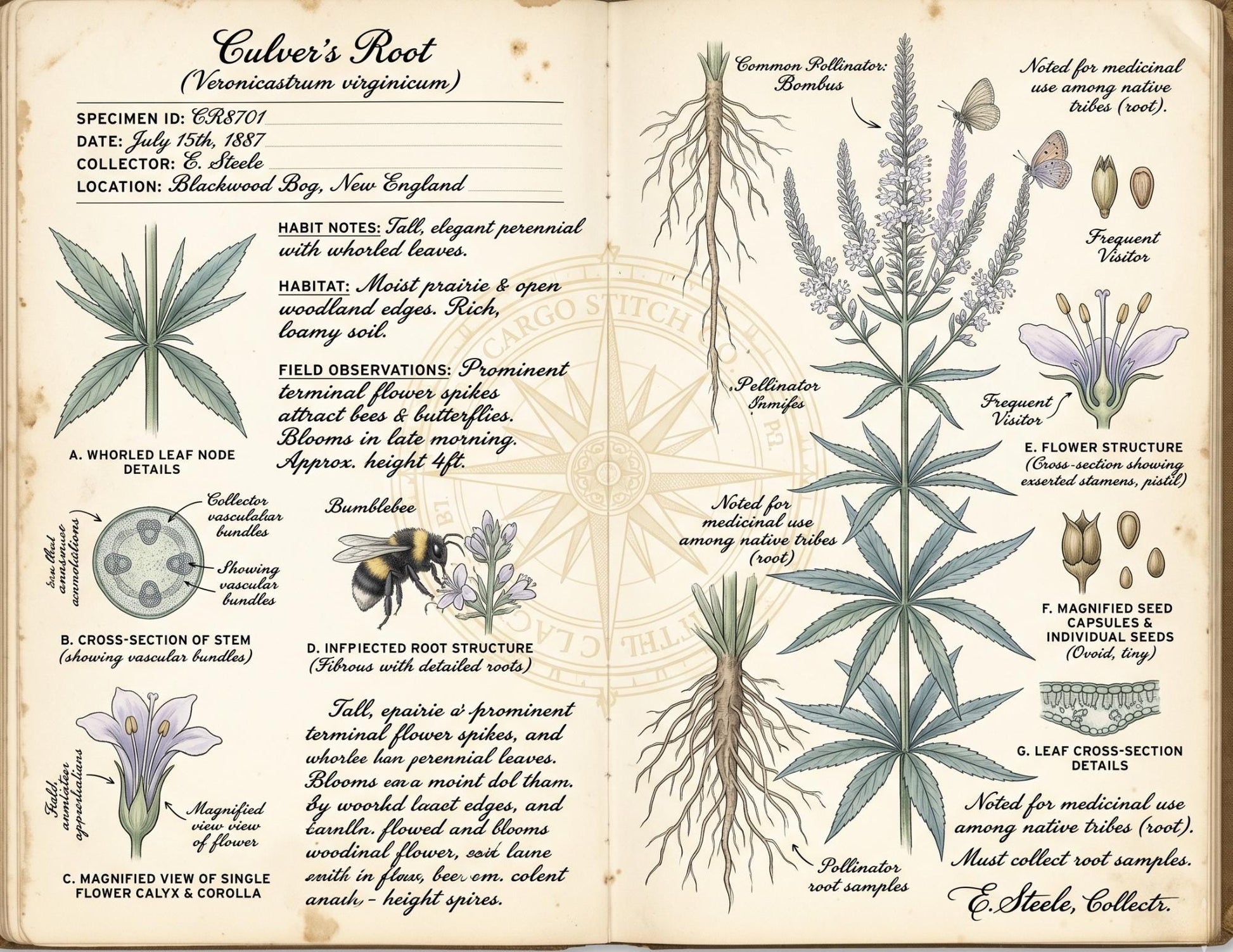 Moon Garden Botanical Society Field Notes & Specimens | Botanical Journal Pages | Vintage Nature Archive | Printable Junk Journal Kit