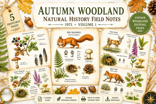 Autumn Woodland Natural History Field Notes Printable Journal Kit | 1971 Vol. I Vintage Woodland Pages