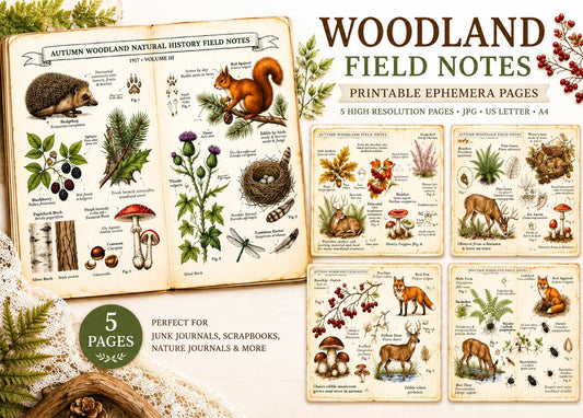 Autumn Woodland Field Notes Volume III Printable Pages | Woodland Junk Journal Kit | Vintage Nature Ephemera