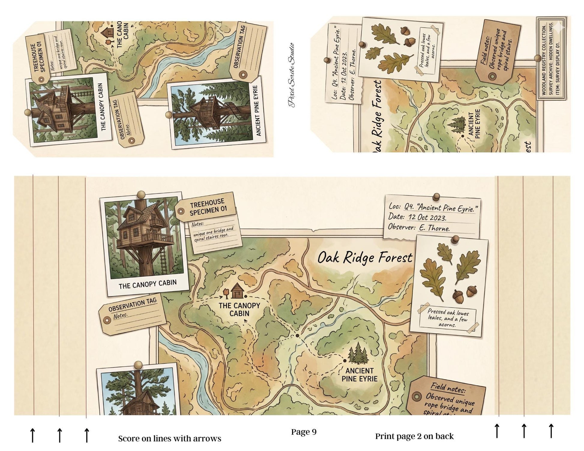 Accordion File Folder Kit Woodland Registry | Woodland Maps & Surveys | Printable Accordion Folder, Junk Journal Printable, Archive Ephemer