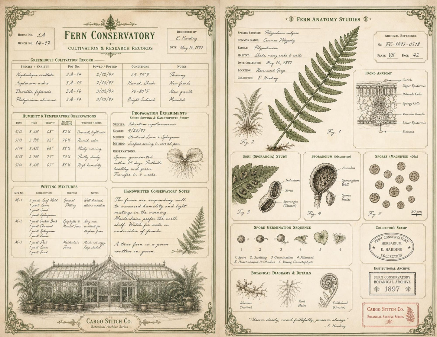 Eleanor's Conservatory Archives Fern Collection | Botanical Journal Papers | Vintage Botanical Ephemera | Printable Nature Collection