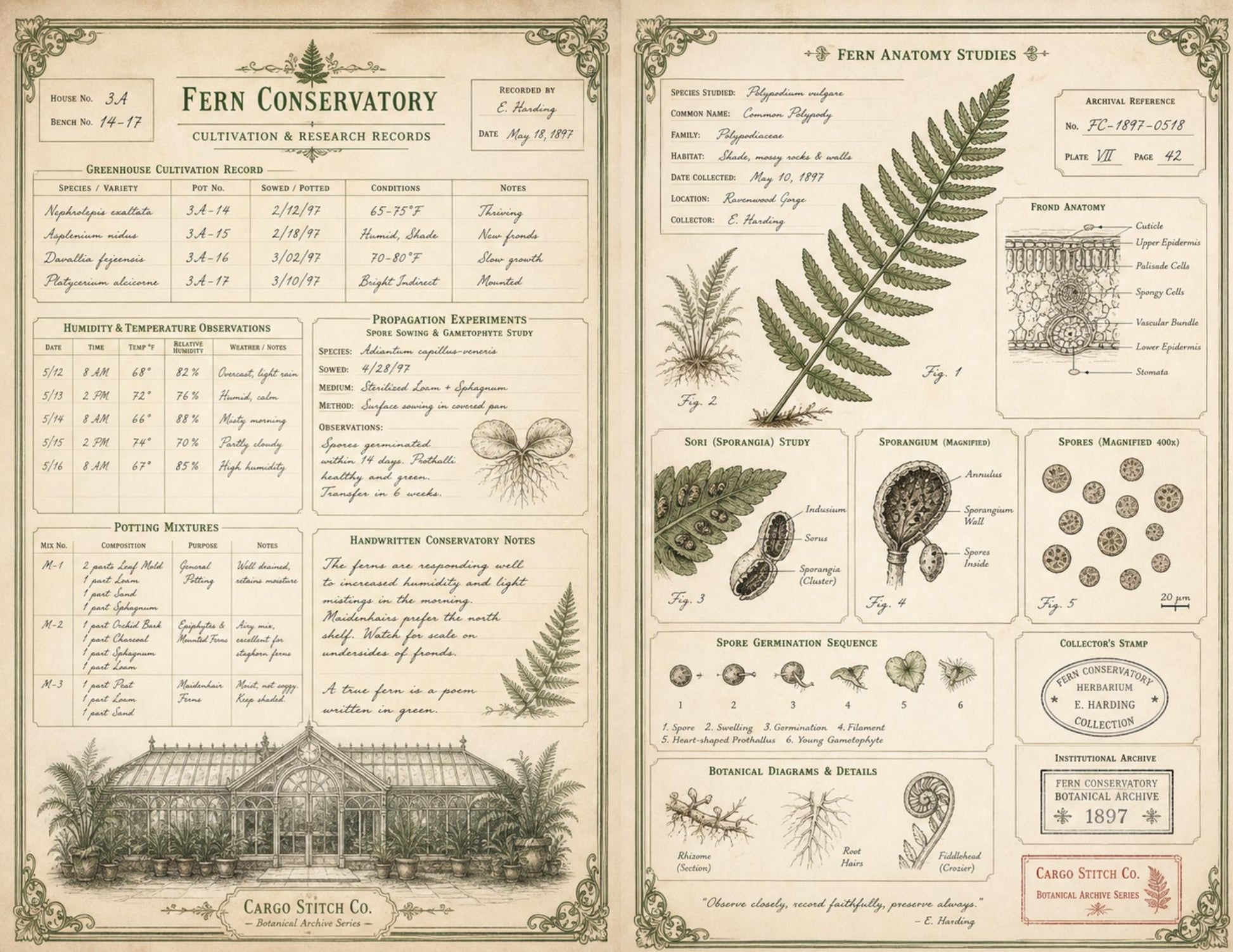 Eleanor's Conservatory Archives Fern Collection | Botanical Journal Papers | Vintage Botanical Ephemera | Printable Nature Collection