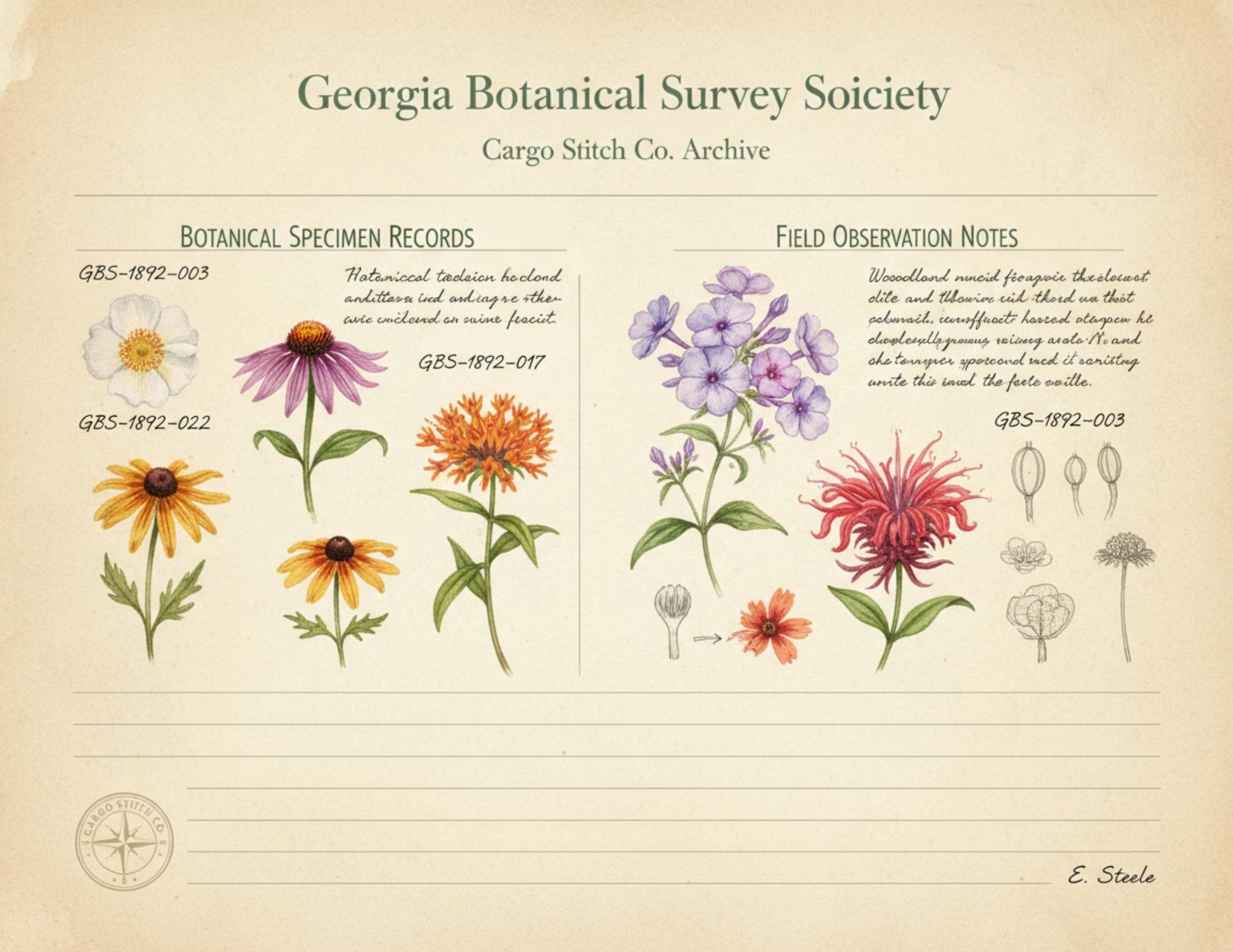 Georgia Botanical Survey Society Native Flora Collection | Vintage Botanical Wildflower & Bird Studies Natural History Ephemera