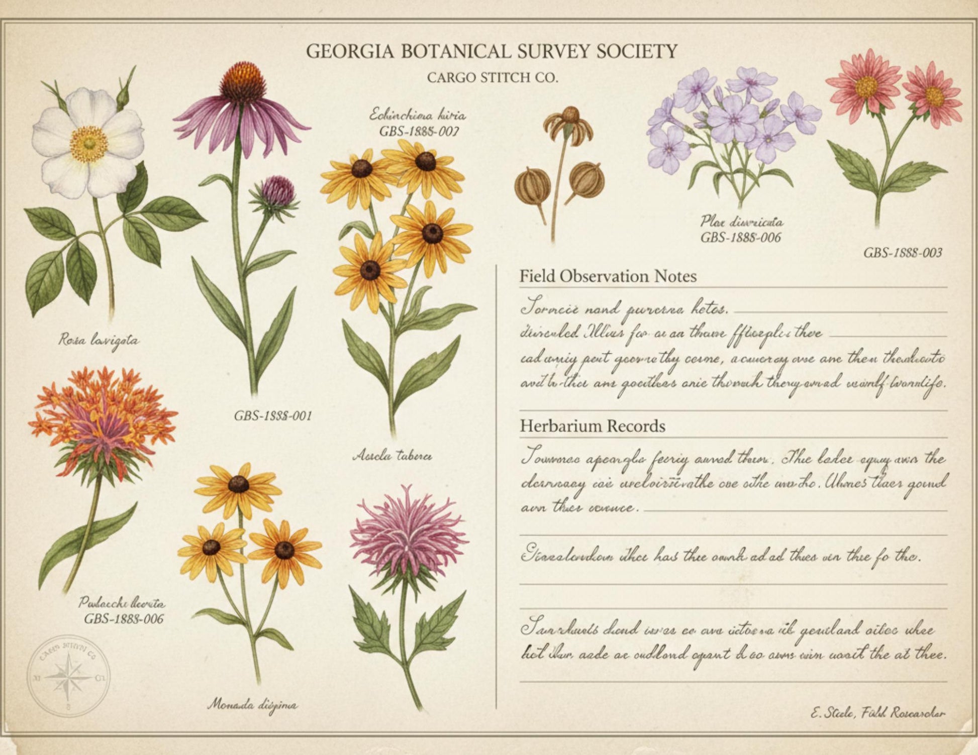 Georgia Botanical Survey Society Native Flora Collection | Vintage Botanical Wildflower & Bird Studies Natural History Ephemera