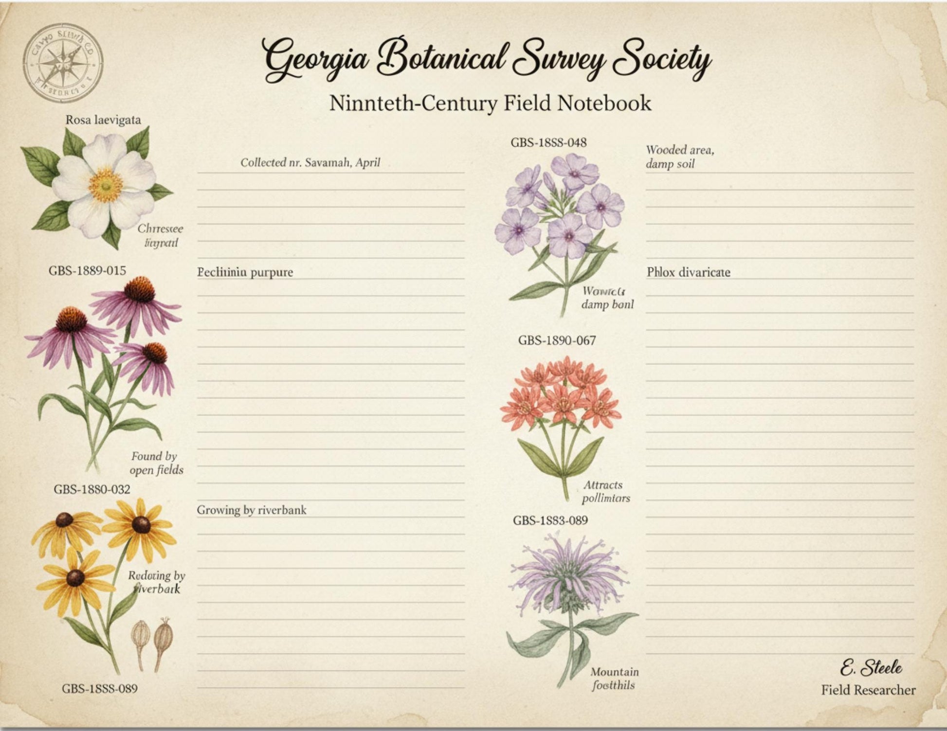 Georgia Botanical Survey Society Native Flora Collection | Vintage Botanical Wildflower & Bird Studies Natural History Ephemera