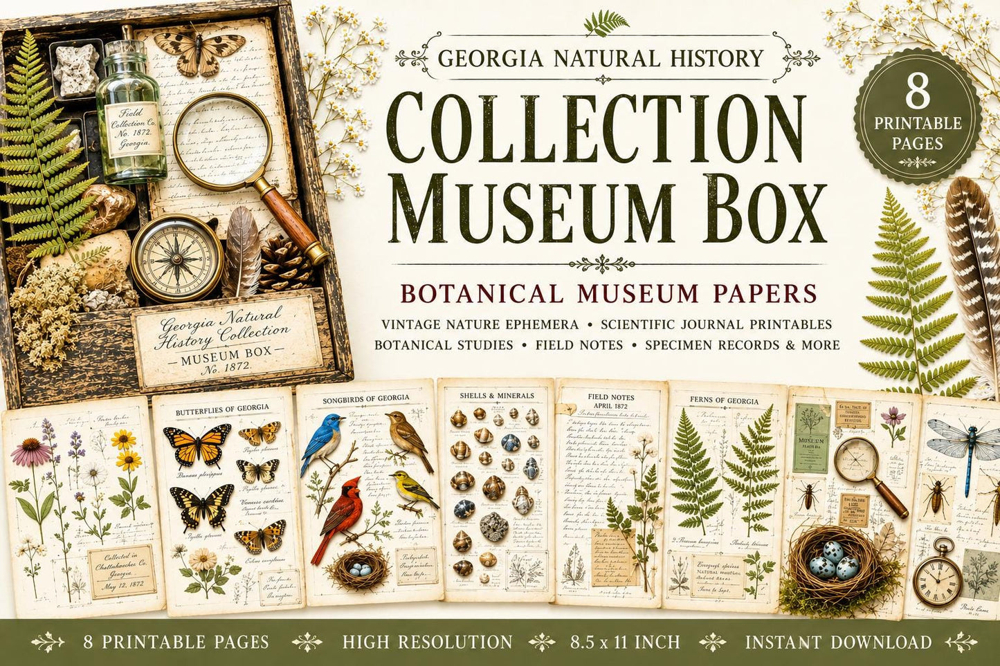 Georgia Natural History Collection Museum Box | Botanical Museum Papers | Vintage Nature Ephemera | Scientific Journal Printables