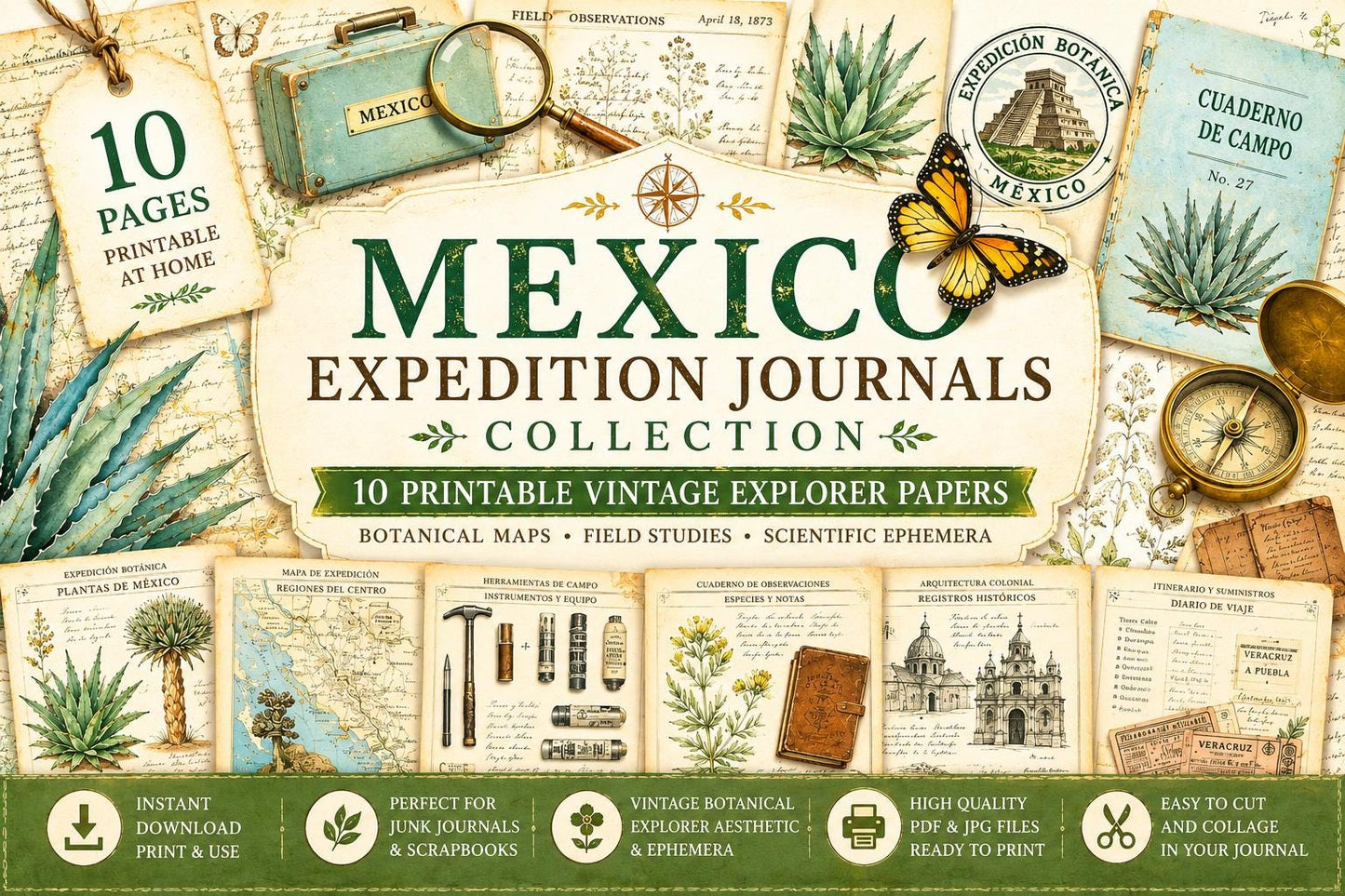 Mexico Expedition Journals Collection | 10 Printable Vintage Explorer Papers | Botanical Maps & Scientific Ephemera | Digital Download