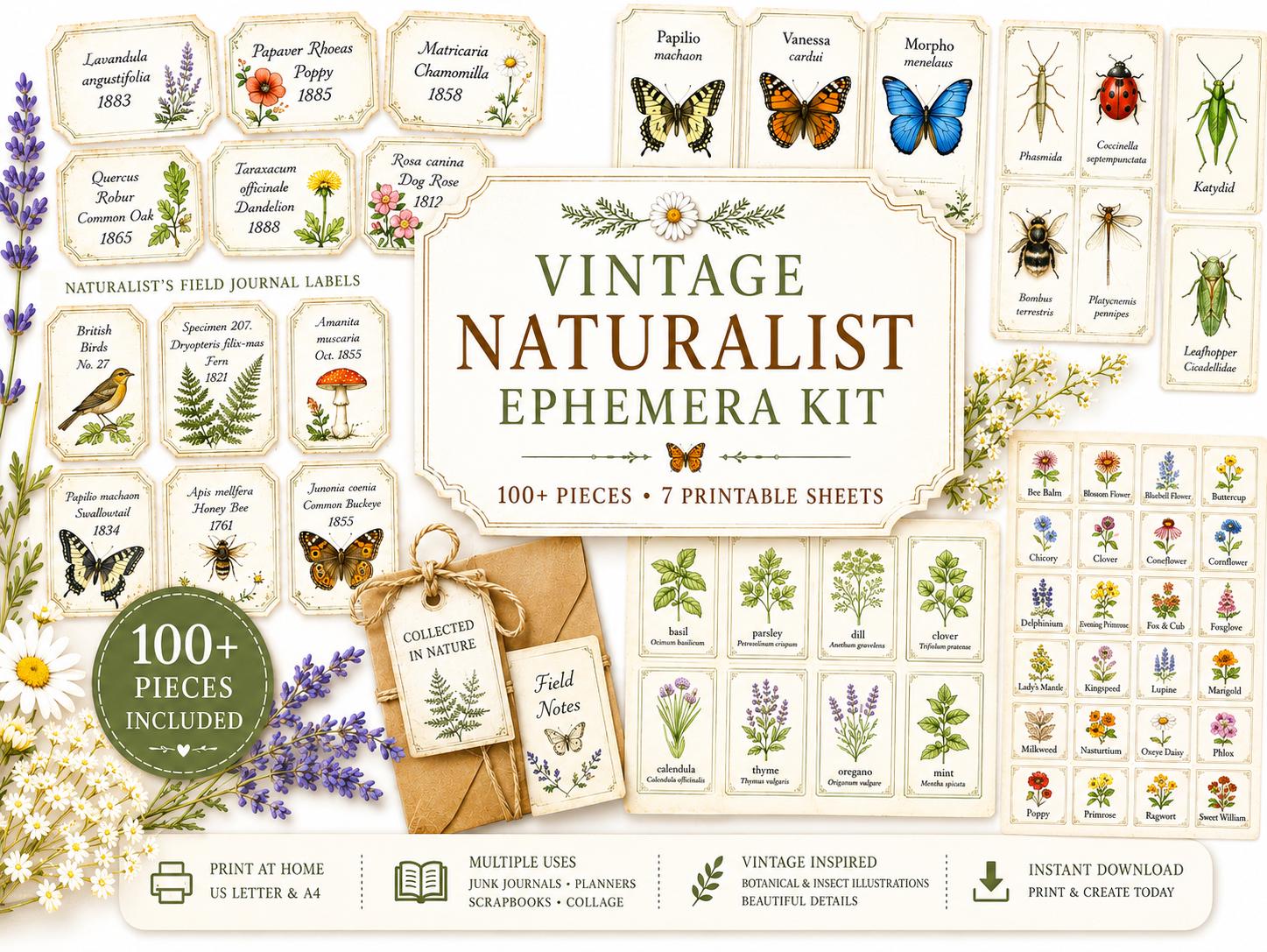 Vintage Naturalist Ephemera Kit | Printable Junk Journal Bundle | Botanical Labels & Specimen Cards