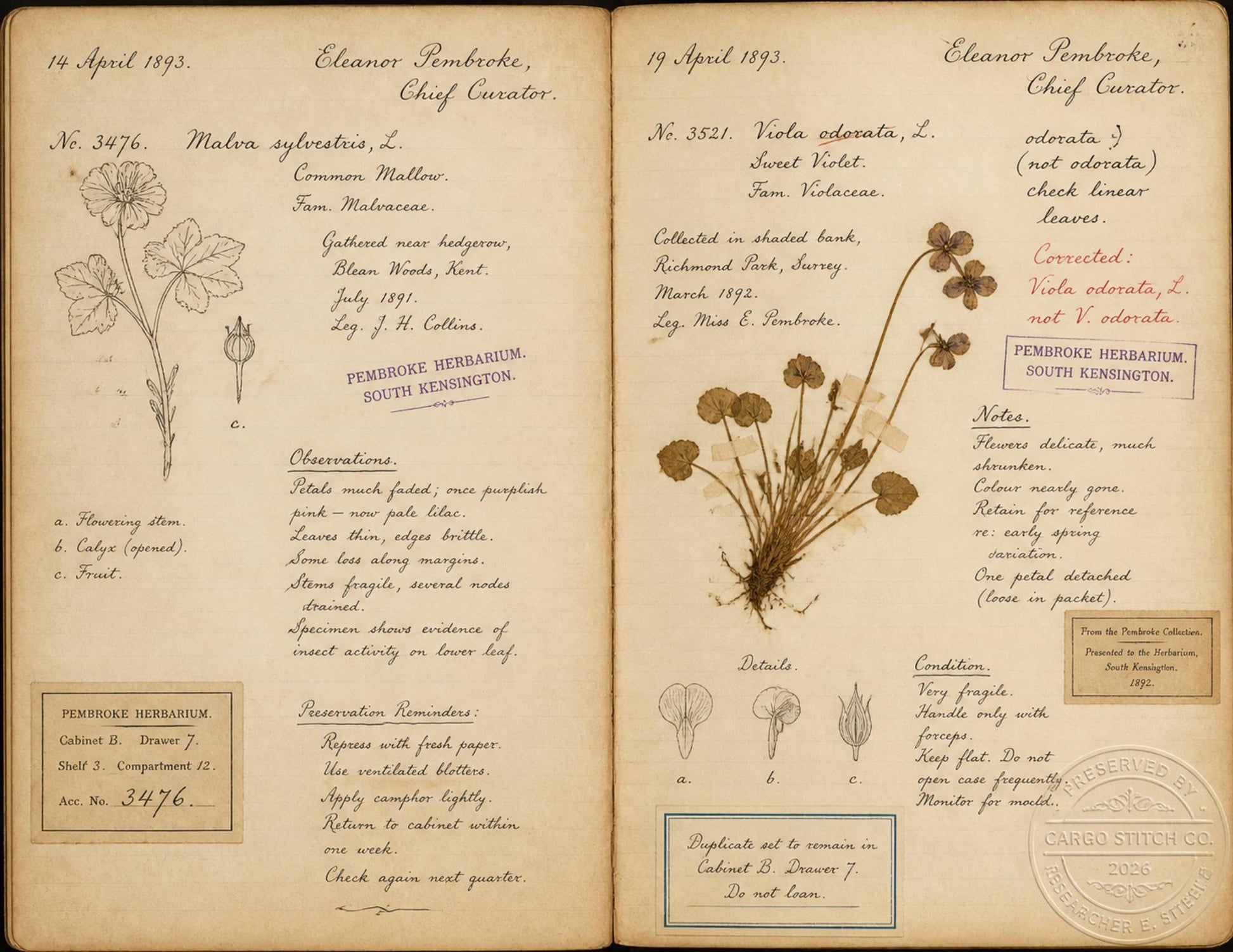Moon Garden Botanical Society Volume I: Journal of Observations | 20 Printable Junk Journal Pages | Victorian Botanical Archive