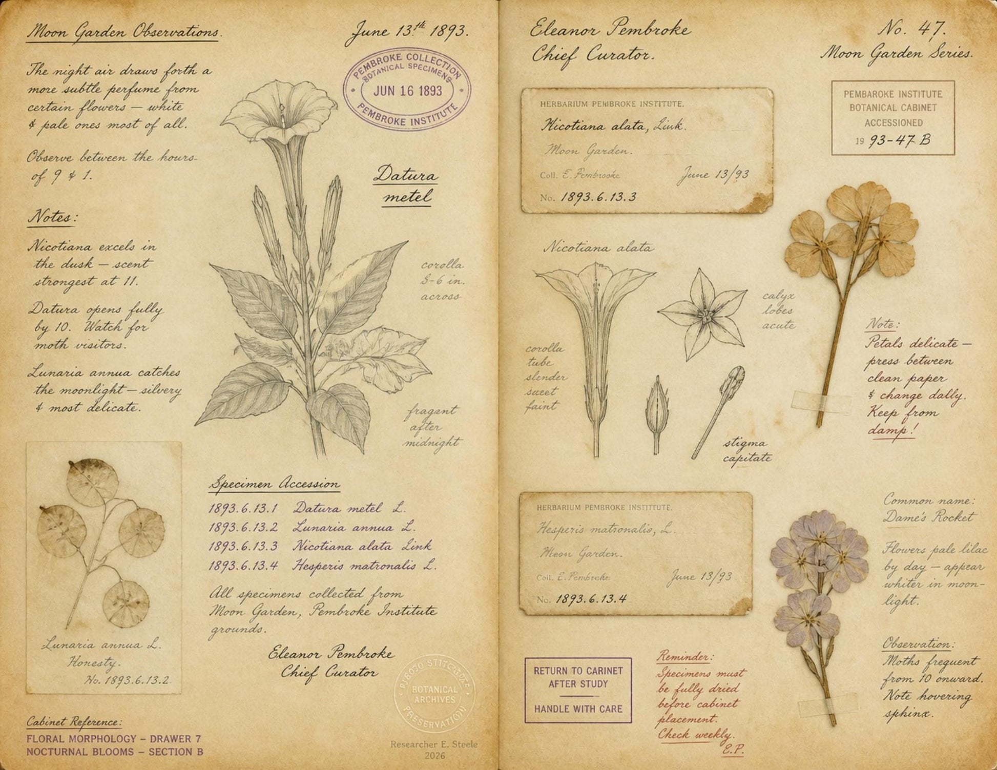 Moon Garden Botanical Society Volume I: Journal of Observations | 20 Printable Junk Journal Pages | Victorian Botanical Archive