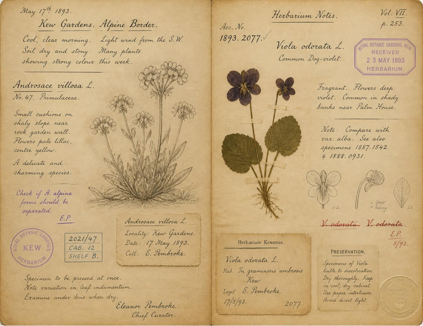 Moon Garden Botanical Society Volume I: Journal of Observations | 20 Printable Junk Journal Pages | Victorian Botanical Archive