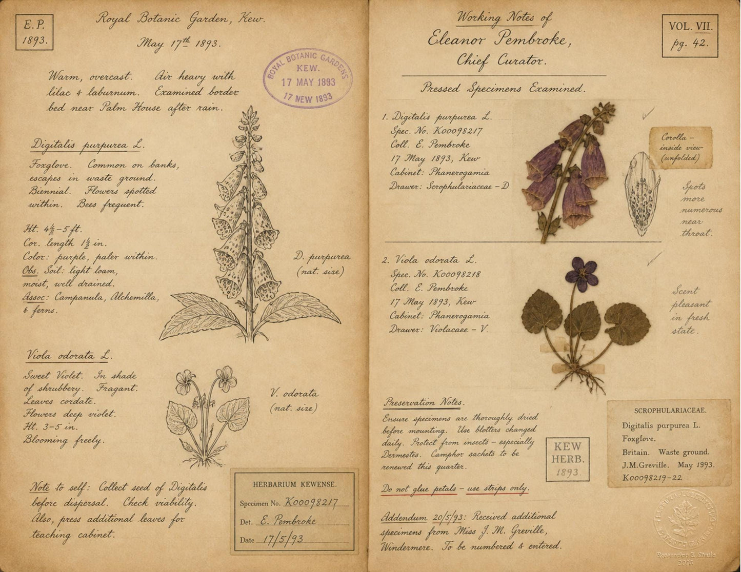 Moon Garden Botanical Society Volume I: Journal of Observations | 20 Printable Junk Journal Pages | Victorian Botanical Archive