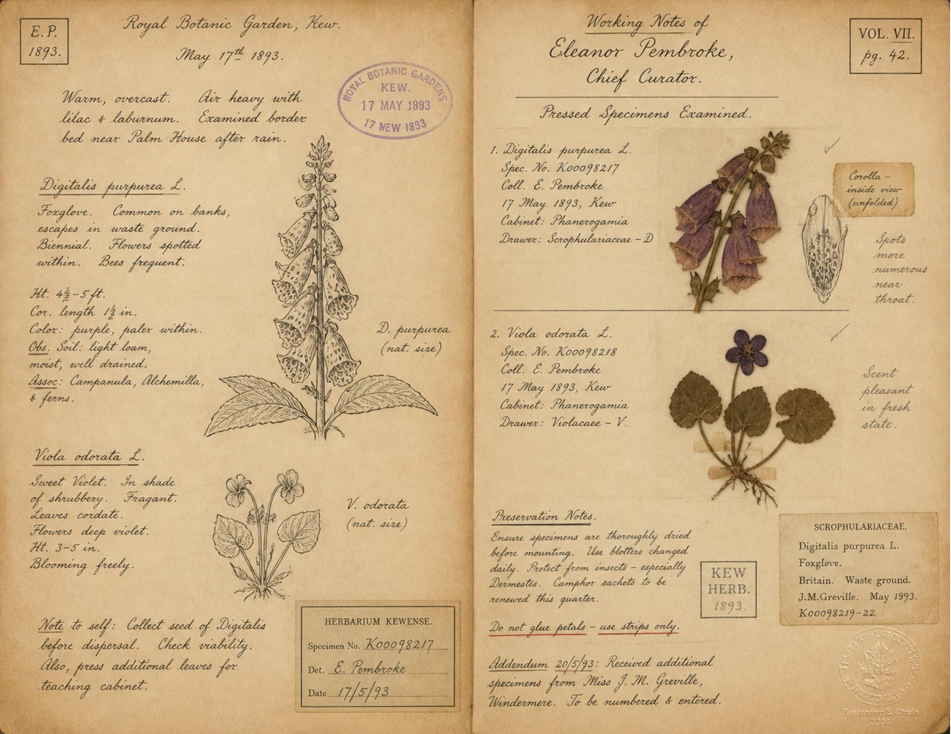 Moon Garden Botanical Society Volume I: Journal of Observations | 20 Printable Junk Journal Pages | Victorian Botanical Archive