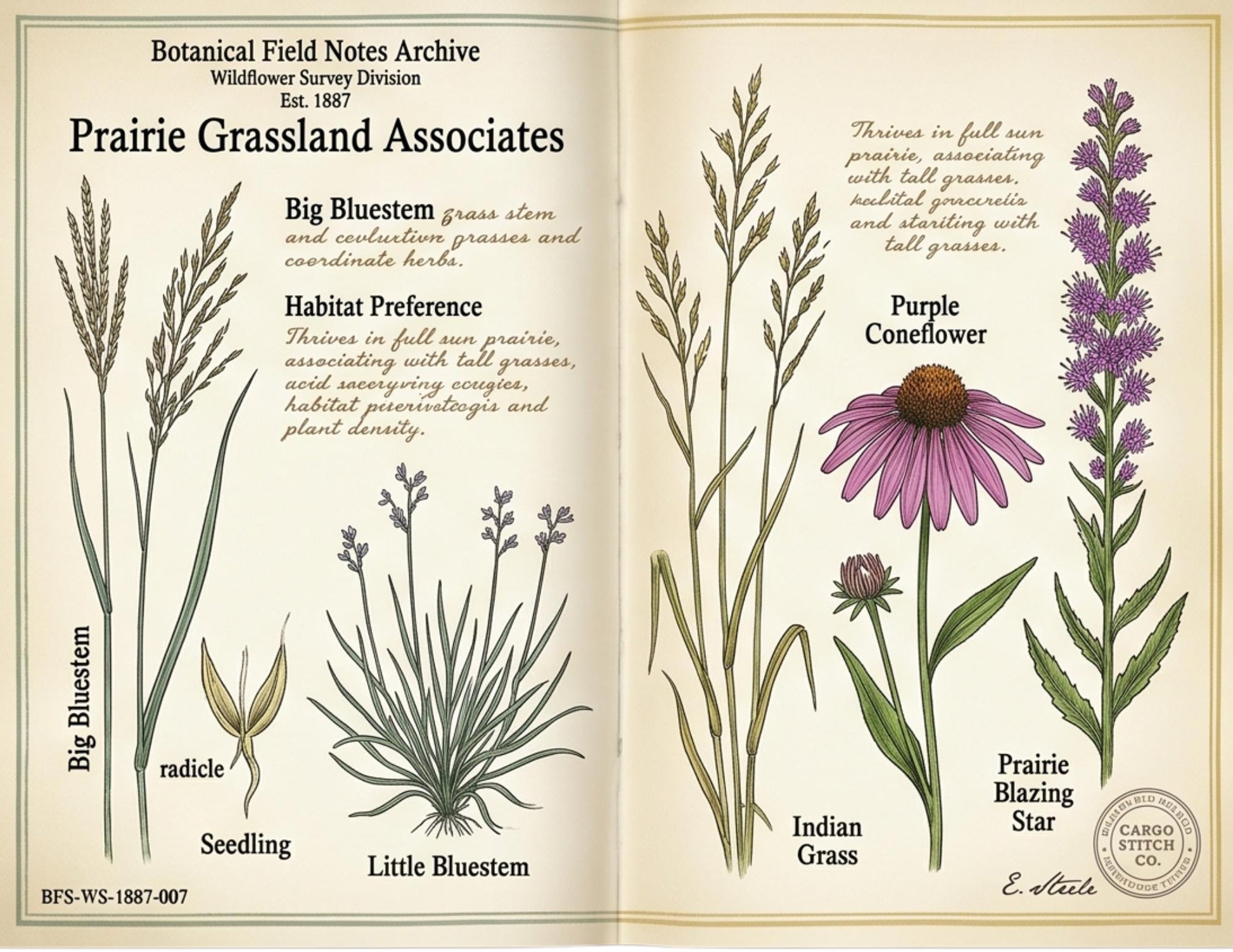 Moon Garden Botanical Society Field Notes & Specimens | Botanical Journal Pages | Vintage Nature Archive | Printable Junk Journal Kit