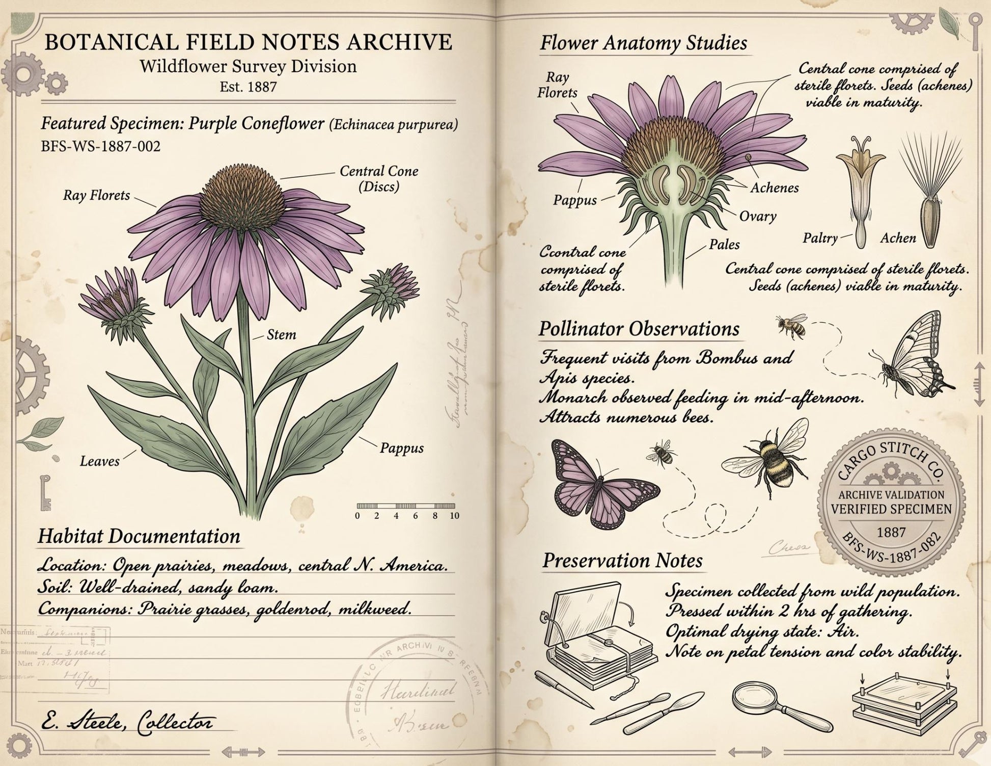 Moon Garden Botanical Society Field Notes & Specimens | Botanical Journal Pages | Vintage Nature Archive | Printable Junk Journal Kit