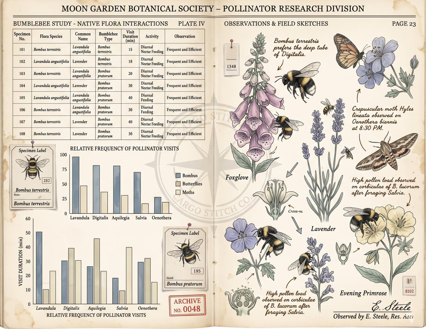 Moon Garden Botanical Society Field Notes & Specimens | Botanical Journal Pages | Vintage Nature Archive | Printable Junk Journal Kit