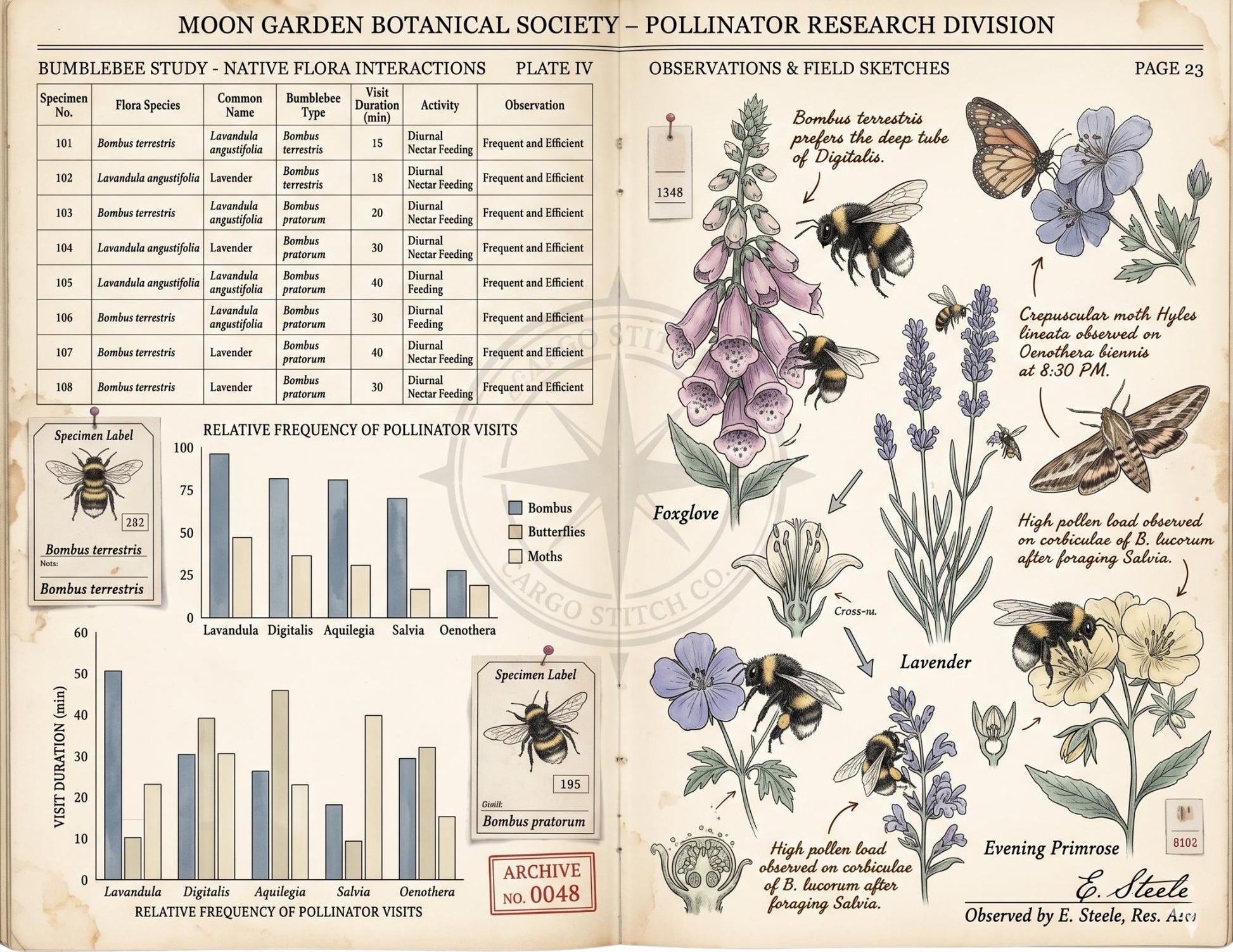 Moon Garden Botanical Society Field Notes & Specimens | Botanical Journal Pages | Vintage Nature Archive | Printable Junk Journal Kit